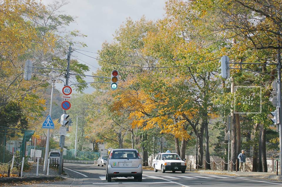 Family road trip to Hokkaido!