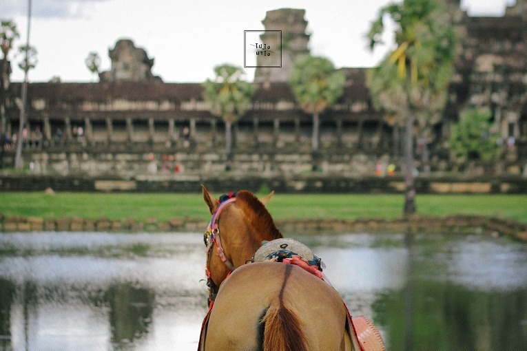 Hello Angkor !