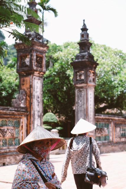 Wilderness in North Vietnam