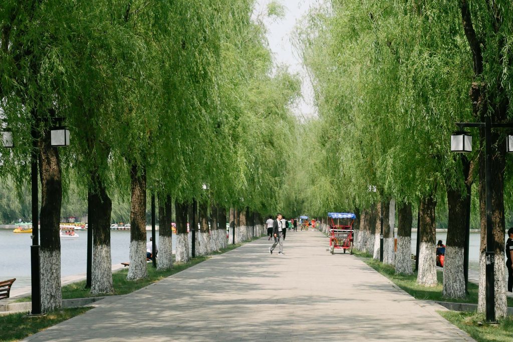 Chinese Urban Escape Part 1 &#8211; Dalian Baihe &#038; Shenyang