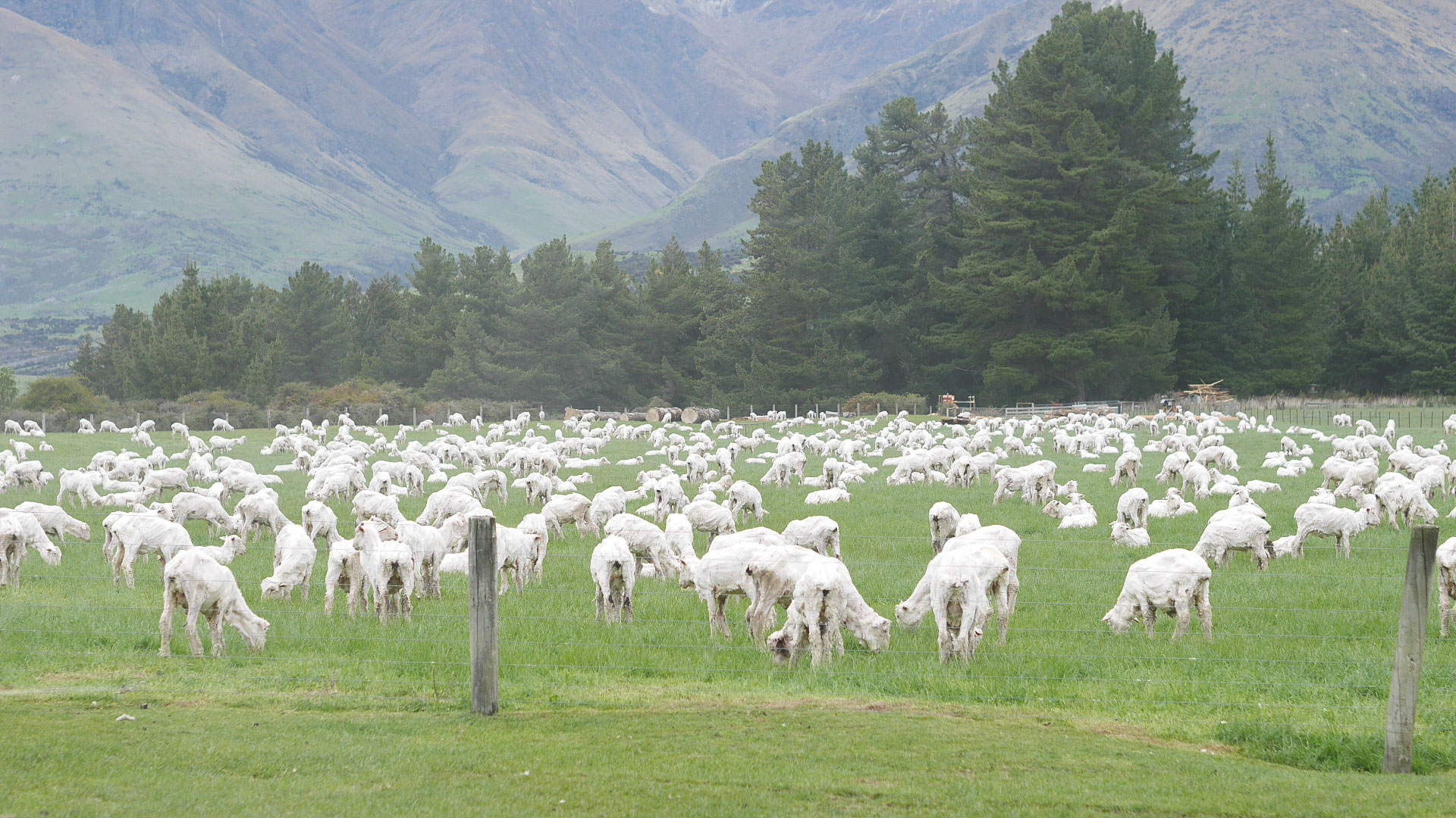 Take a look around HEAVEN, South Island New Zealand Part ll