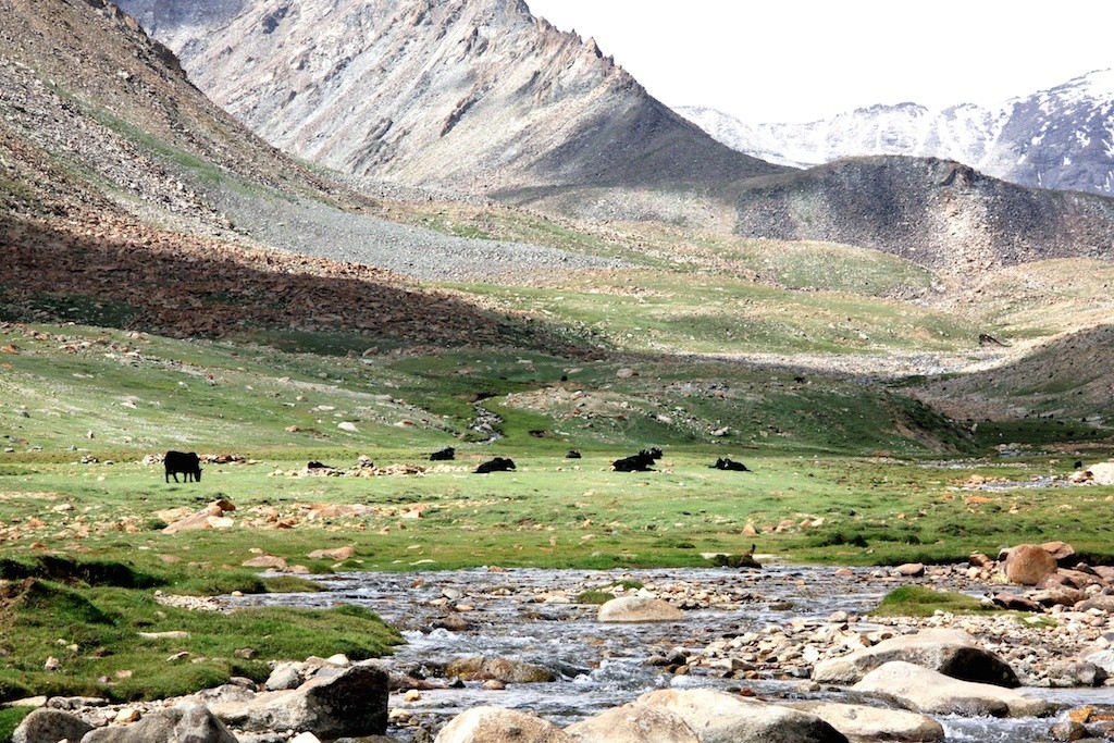 ตะลุยดินแดนโลกพระจันทร์ Leh-Ladakh