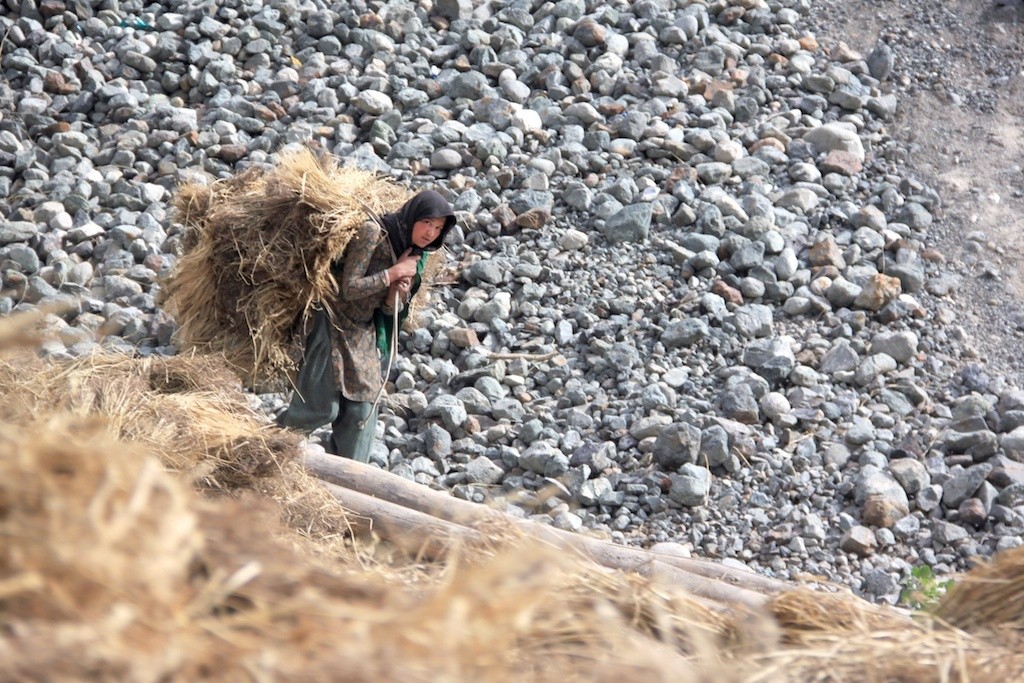 ตะลุยดินแดนโลกพระจันทร์ Leh-Ladakh