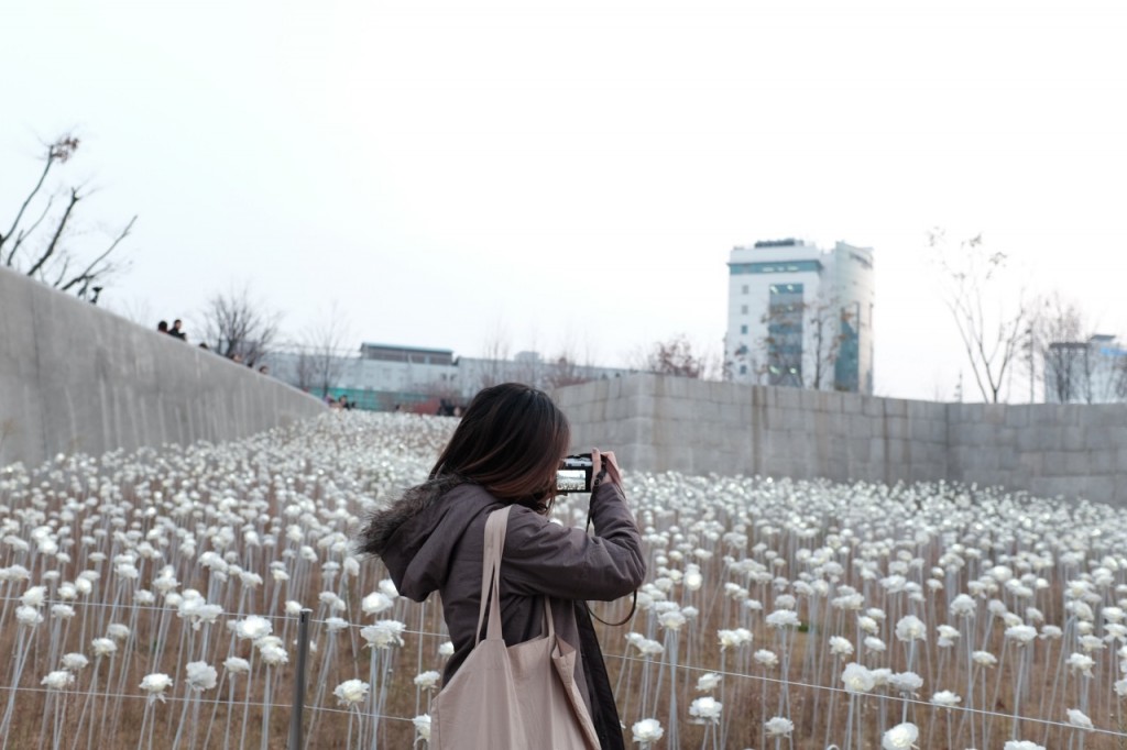 Let my pictures talk. -Korea,Nov&#8217;15