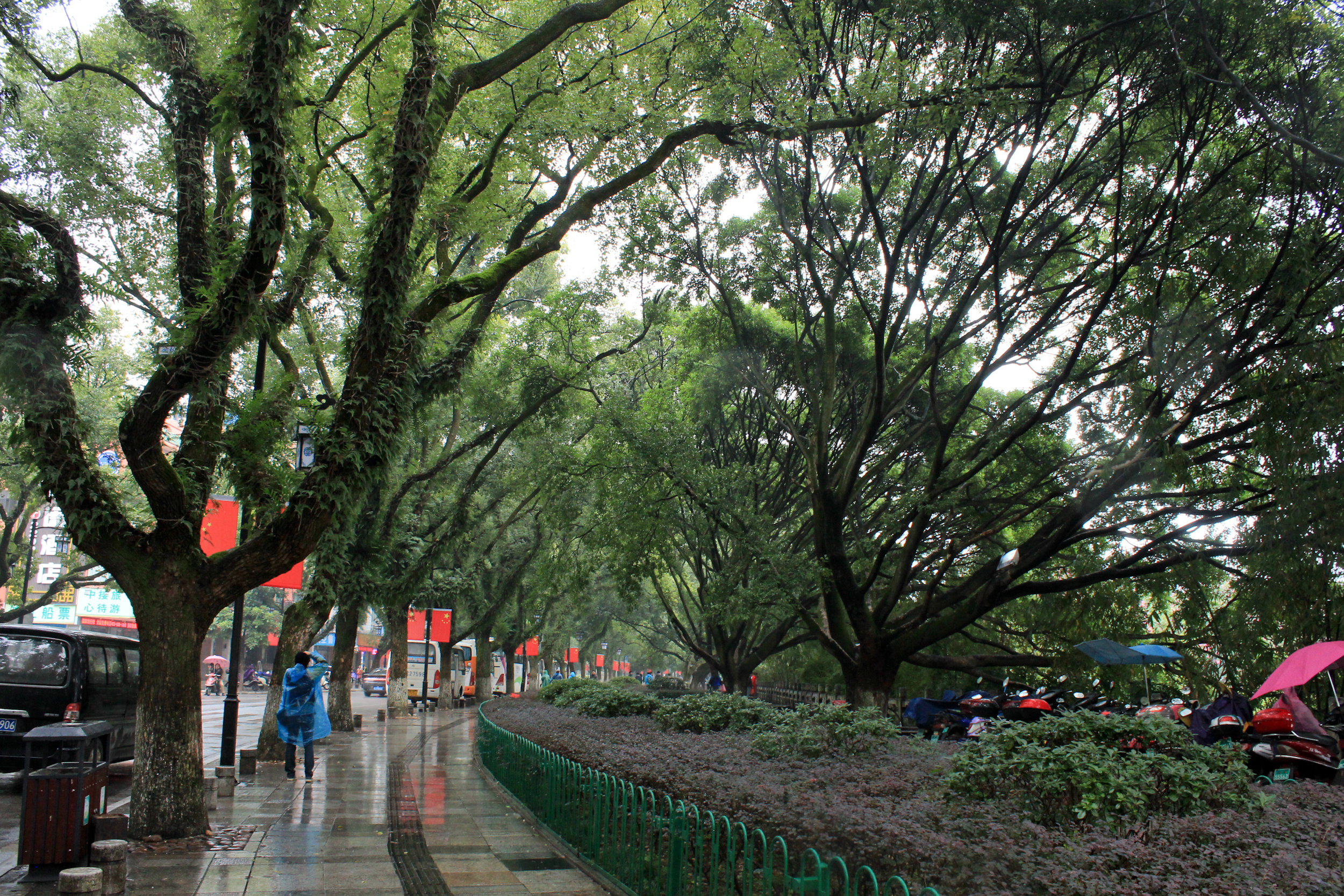 Stay lost in the mist, NANNING-GUILIN