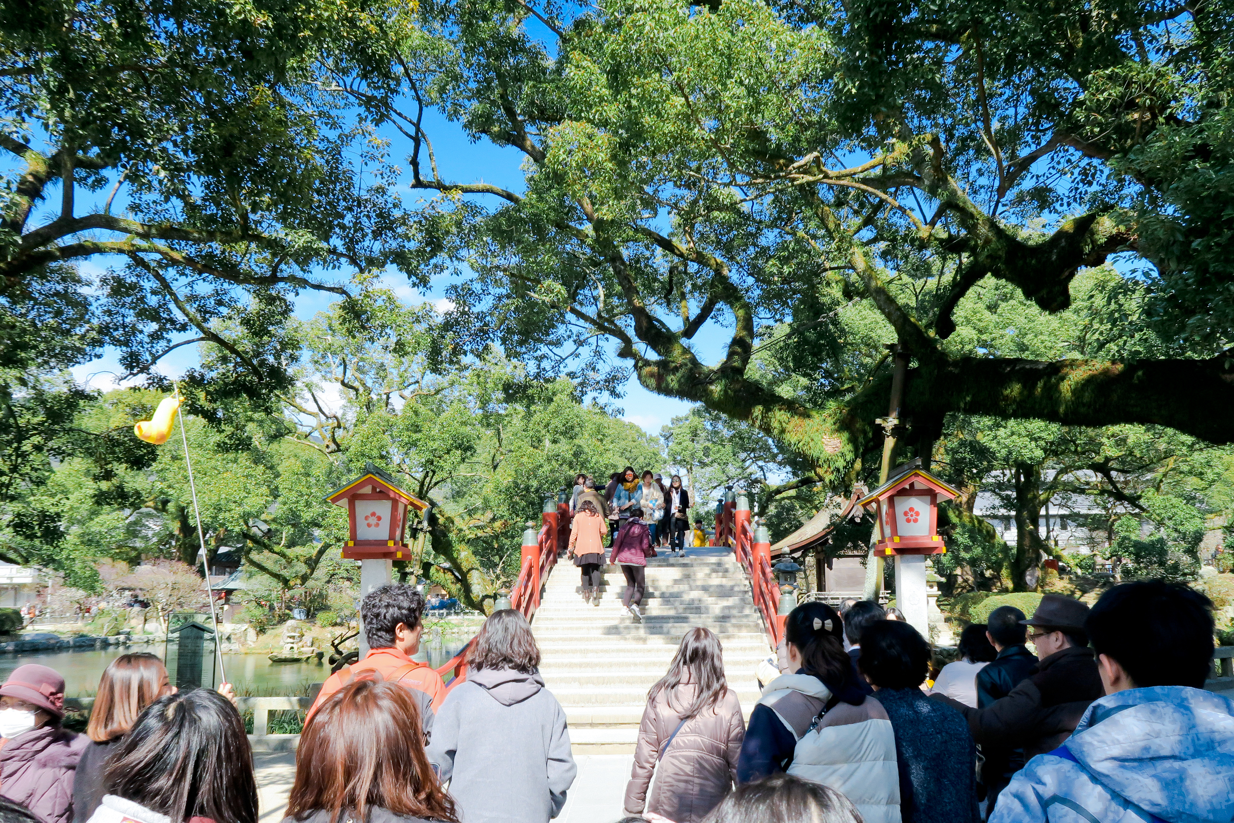 Kyushu Road Trip,Memories of Japan!