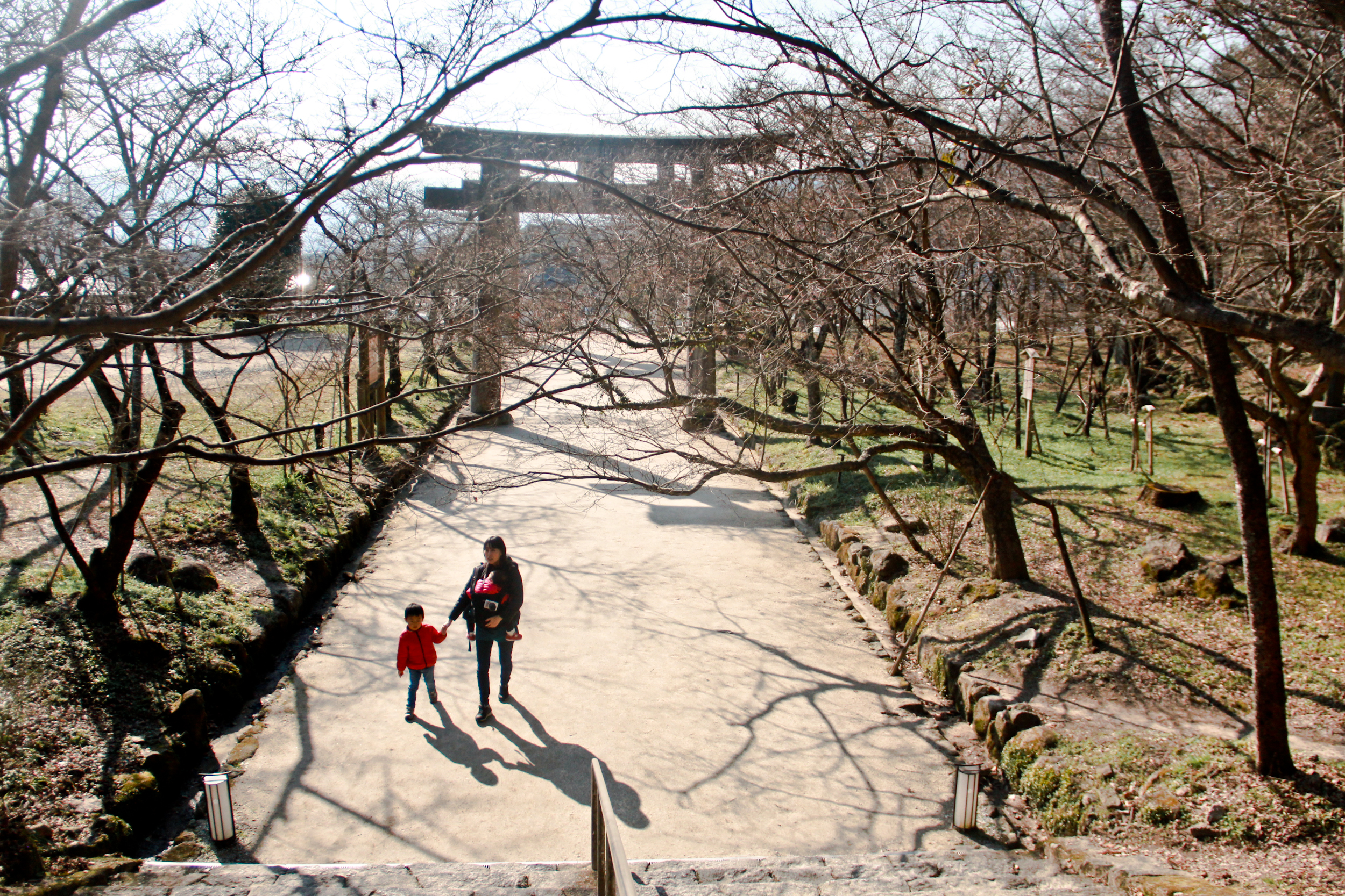 Kyushu Road Trip,Memories of Japan!