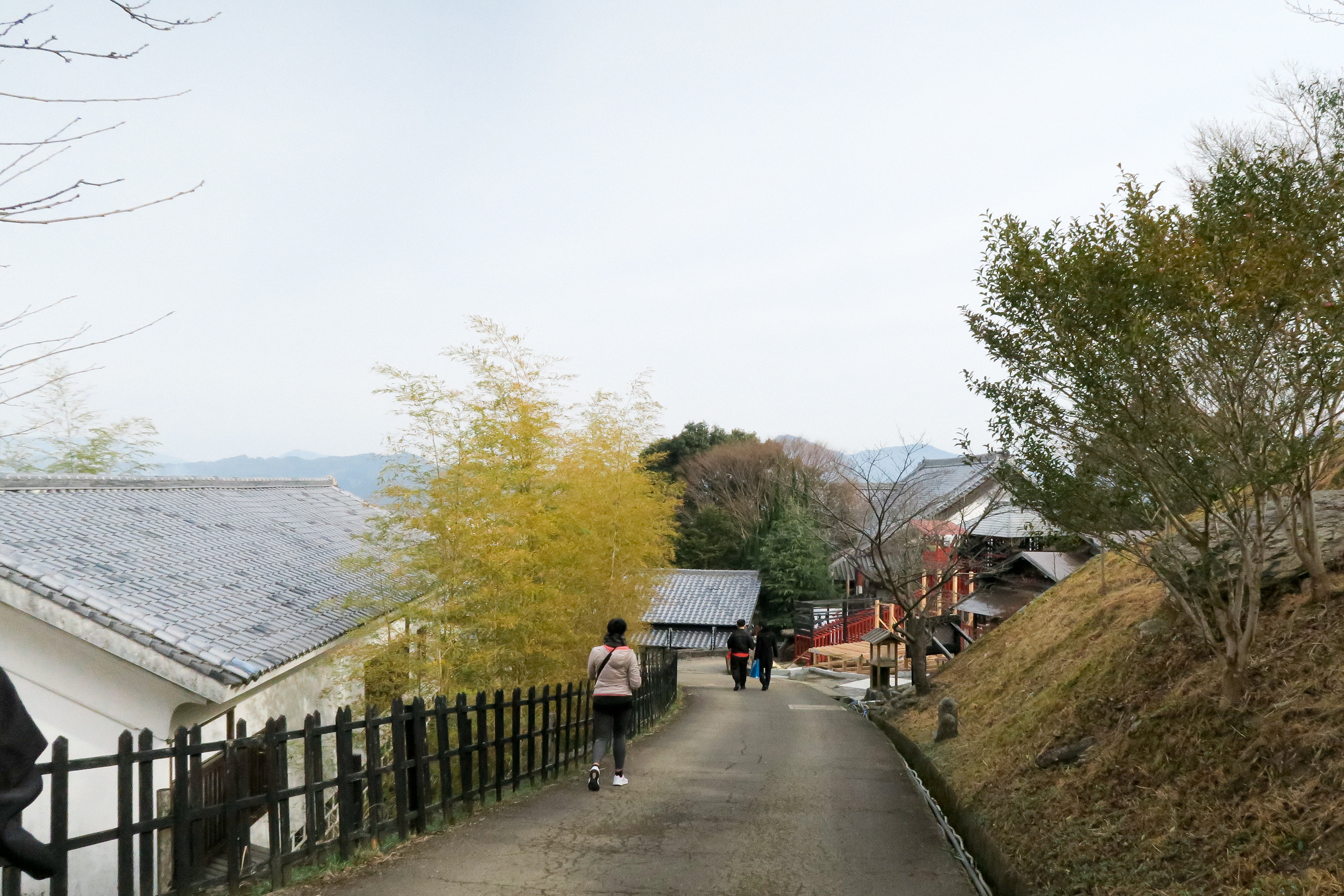 Kyushu Road Trip,Memories of Japan!