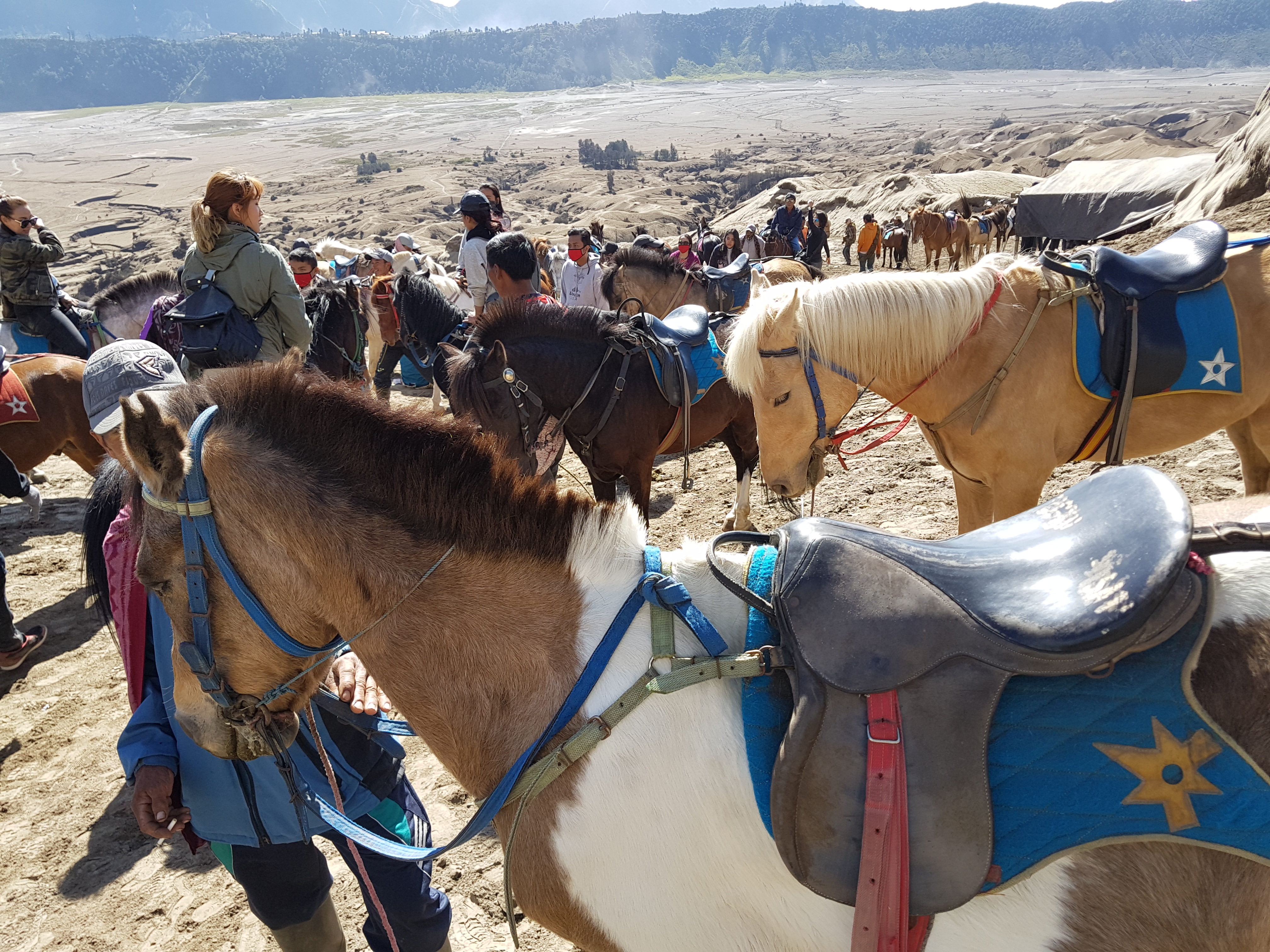 ADVENTURE AHEAD!!, Bromo-Ijen Indonesia