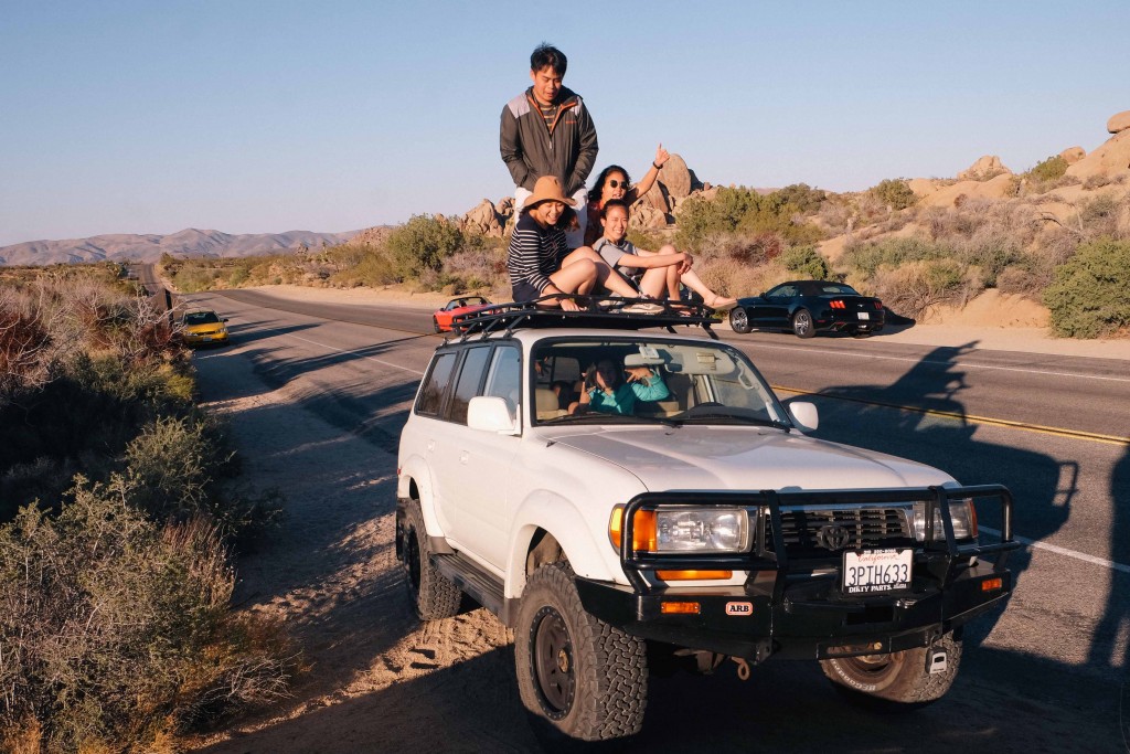 Joshua Trees National Park