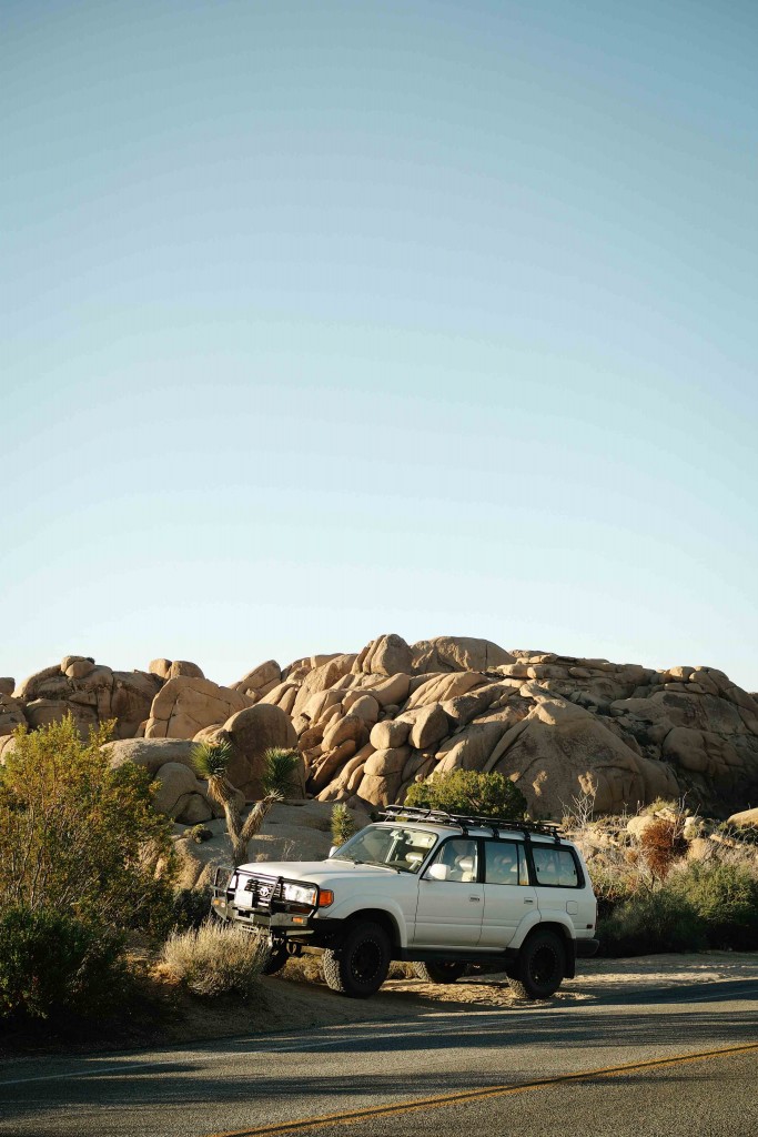 Joshua Trees National Park