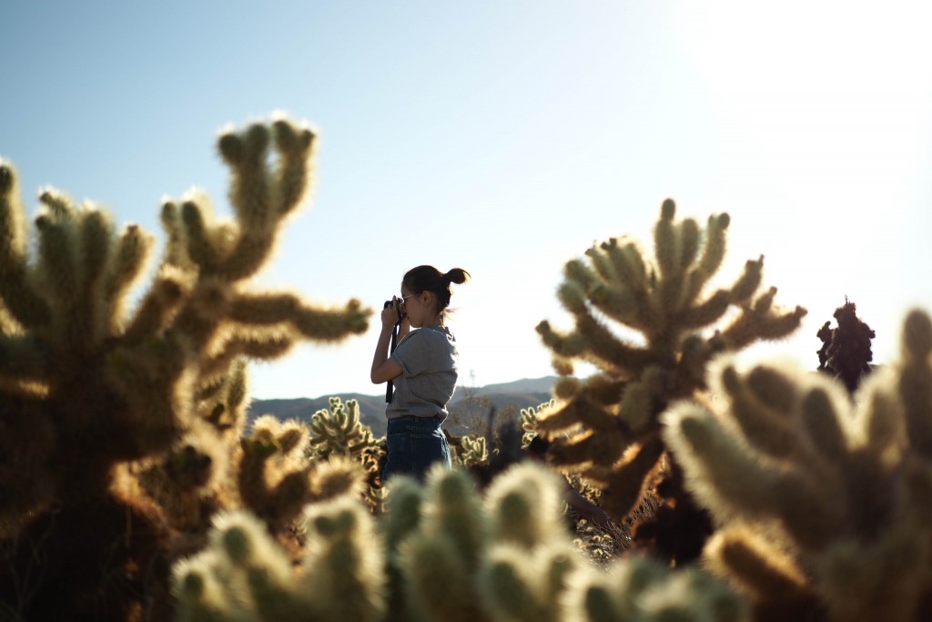 Joshua Trees National Park