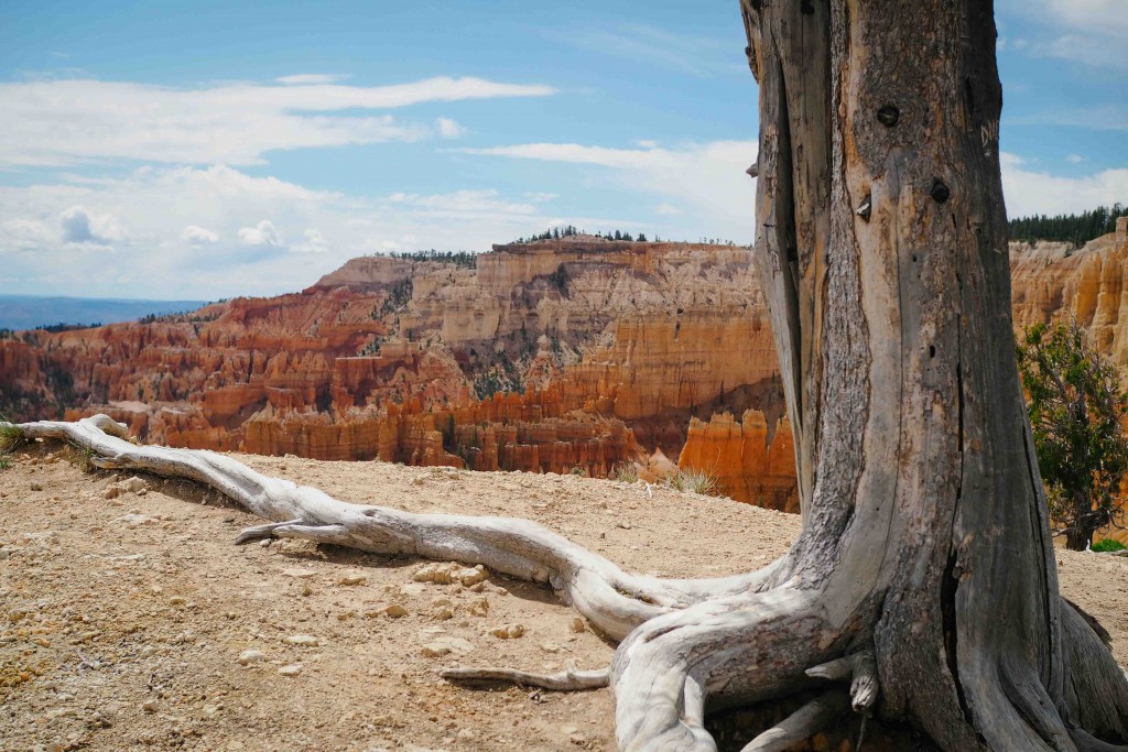 Bryce Canyon