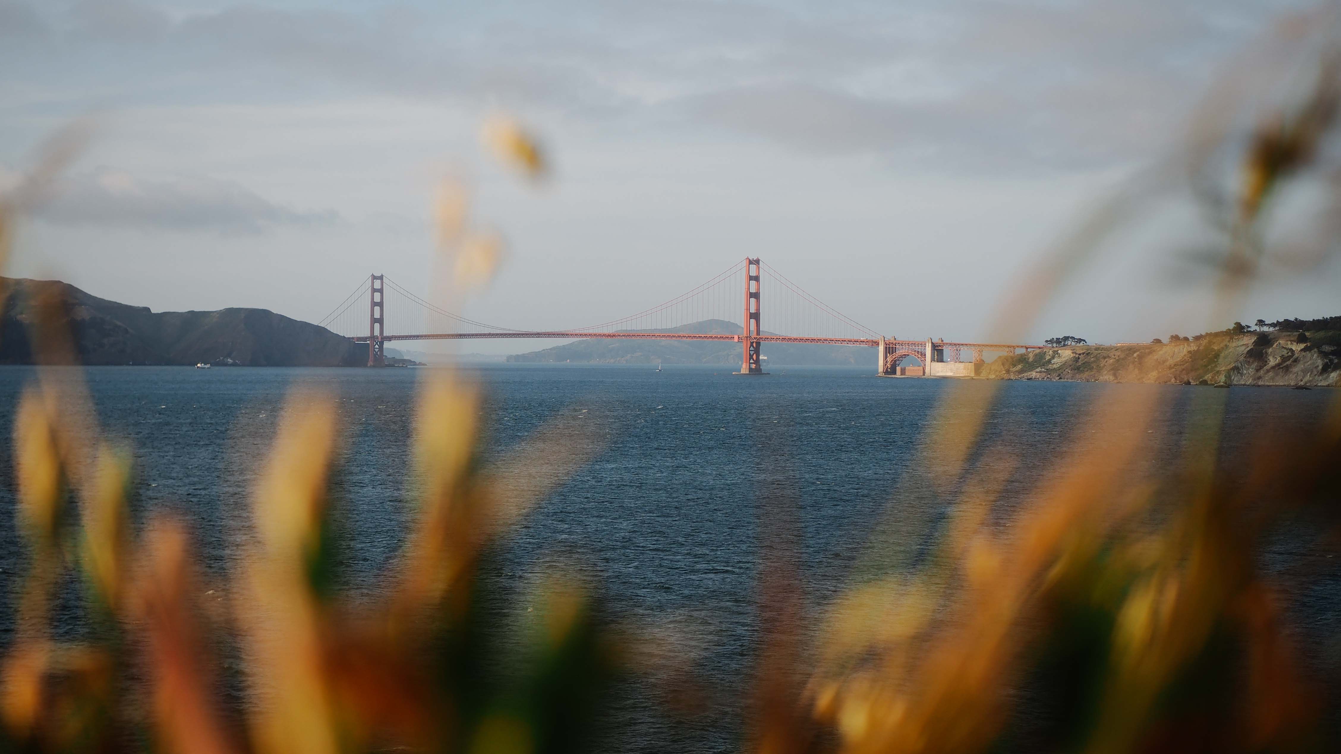 San Francisco, Day and Night!