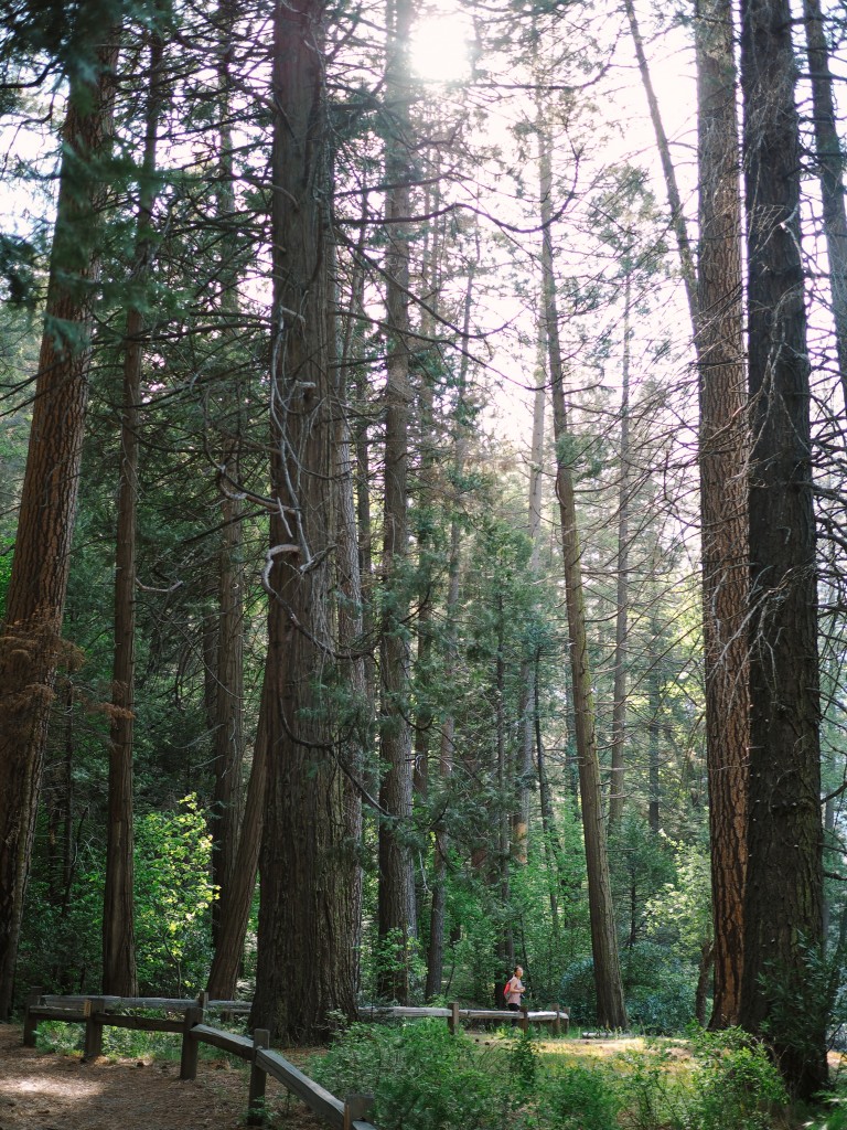 Yosemite National Park