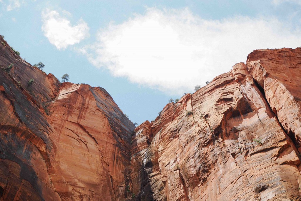 Zion National Park