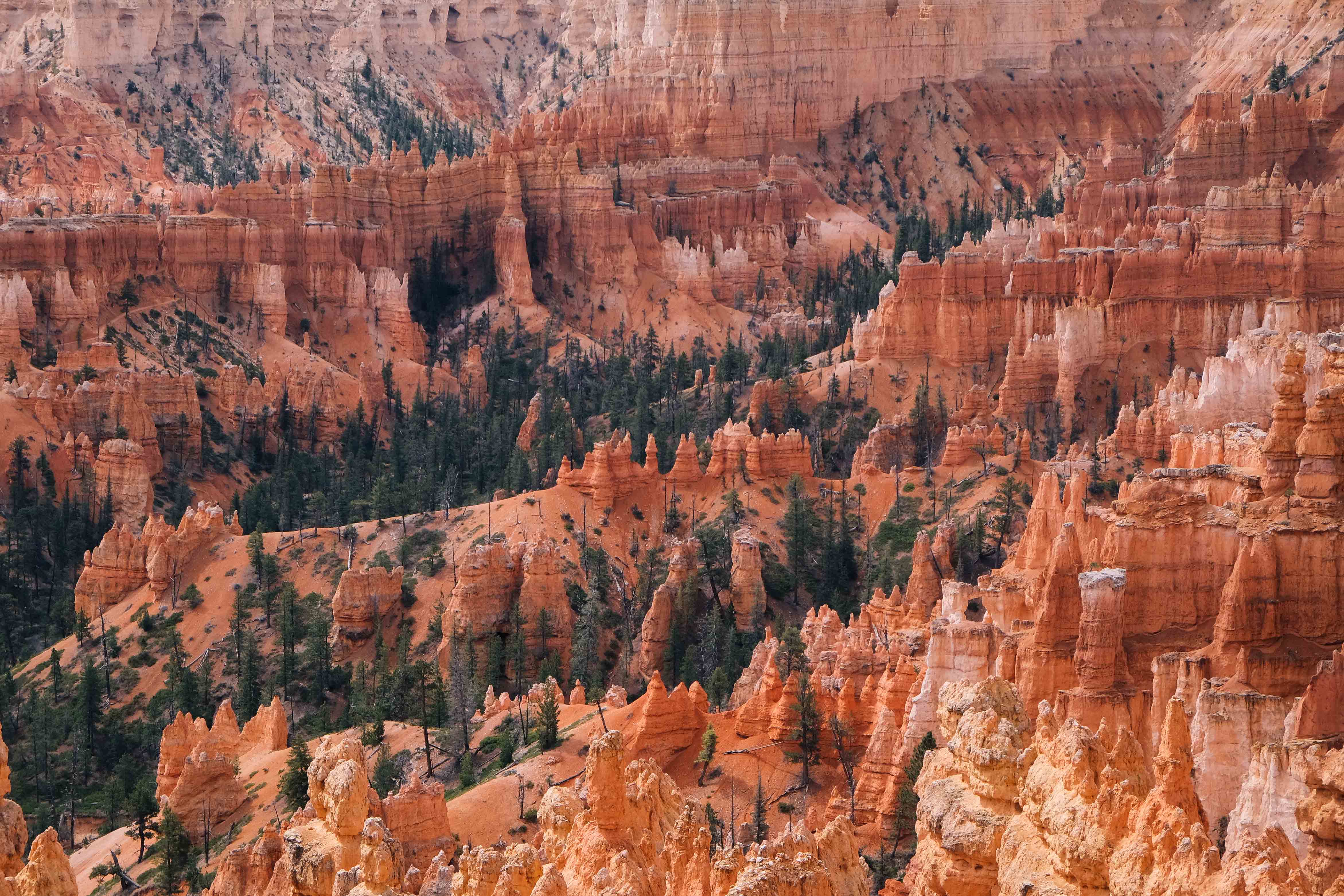 Bryce Canyon