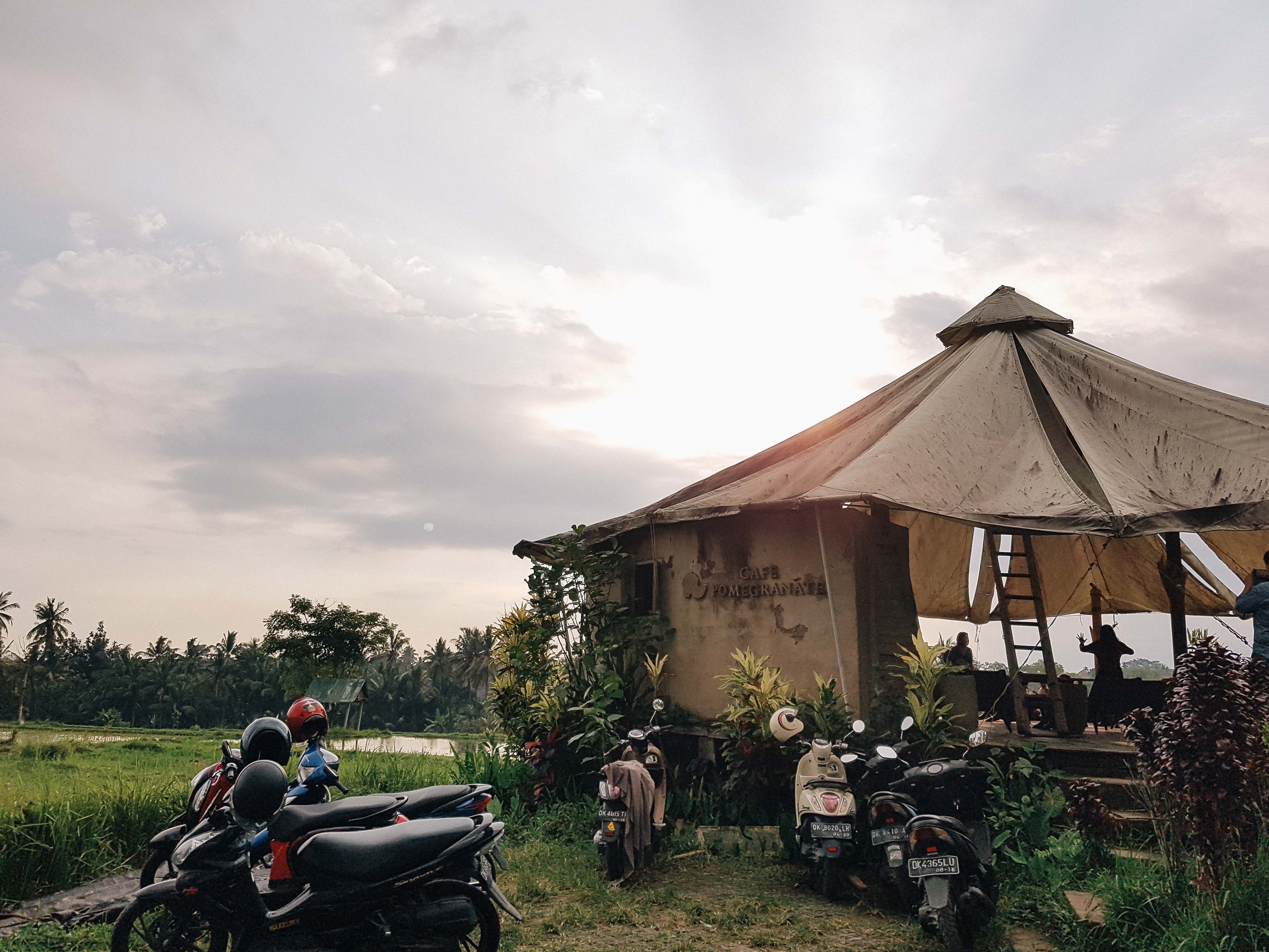 Let loose in Ubud,BALI INDONESIA