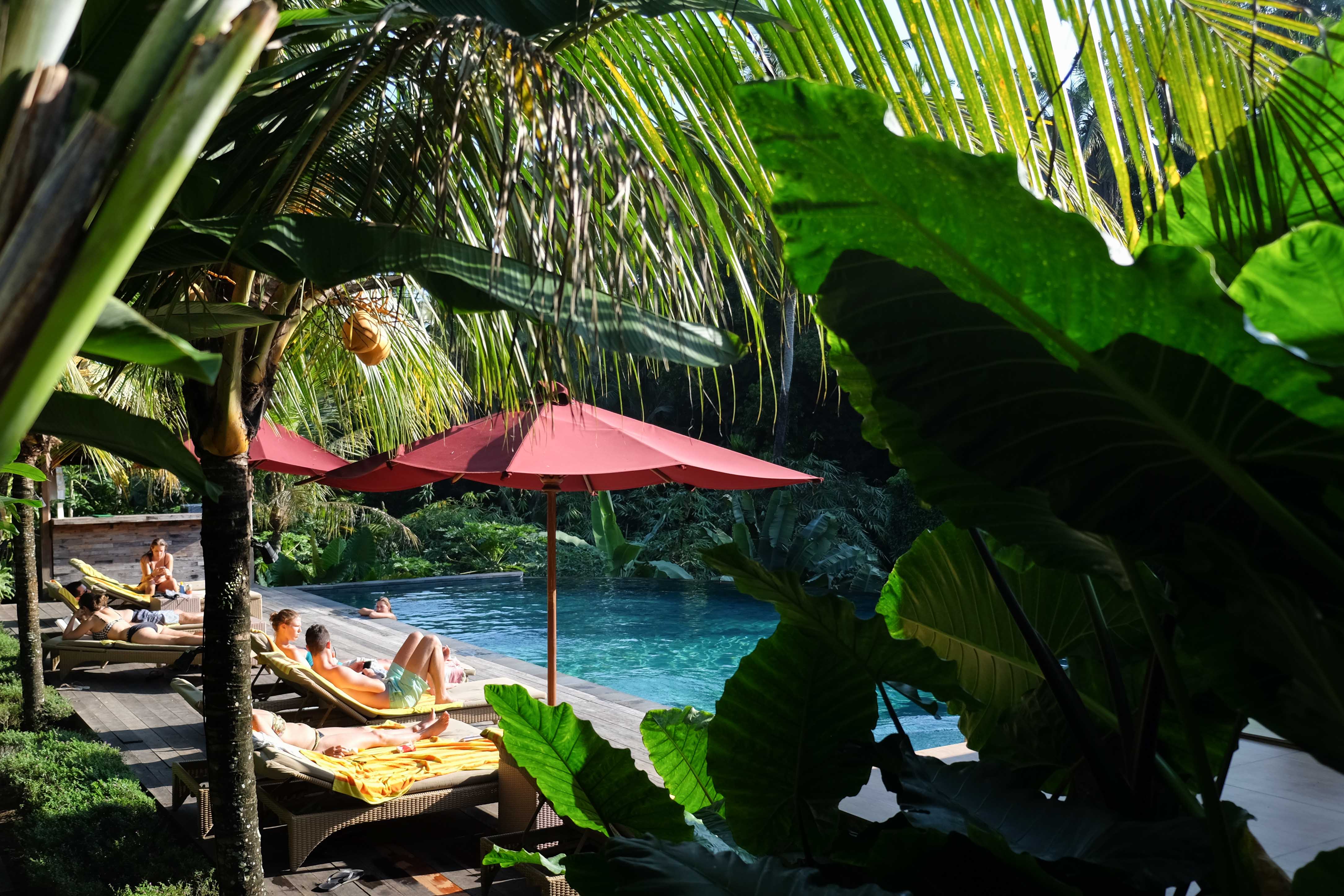 Let loose in Ubud,BALI INDONESIA