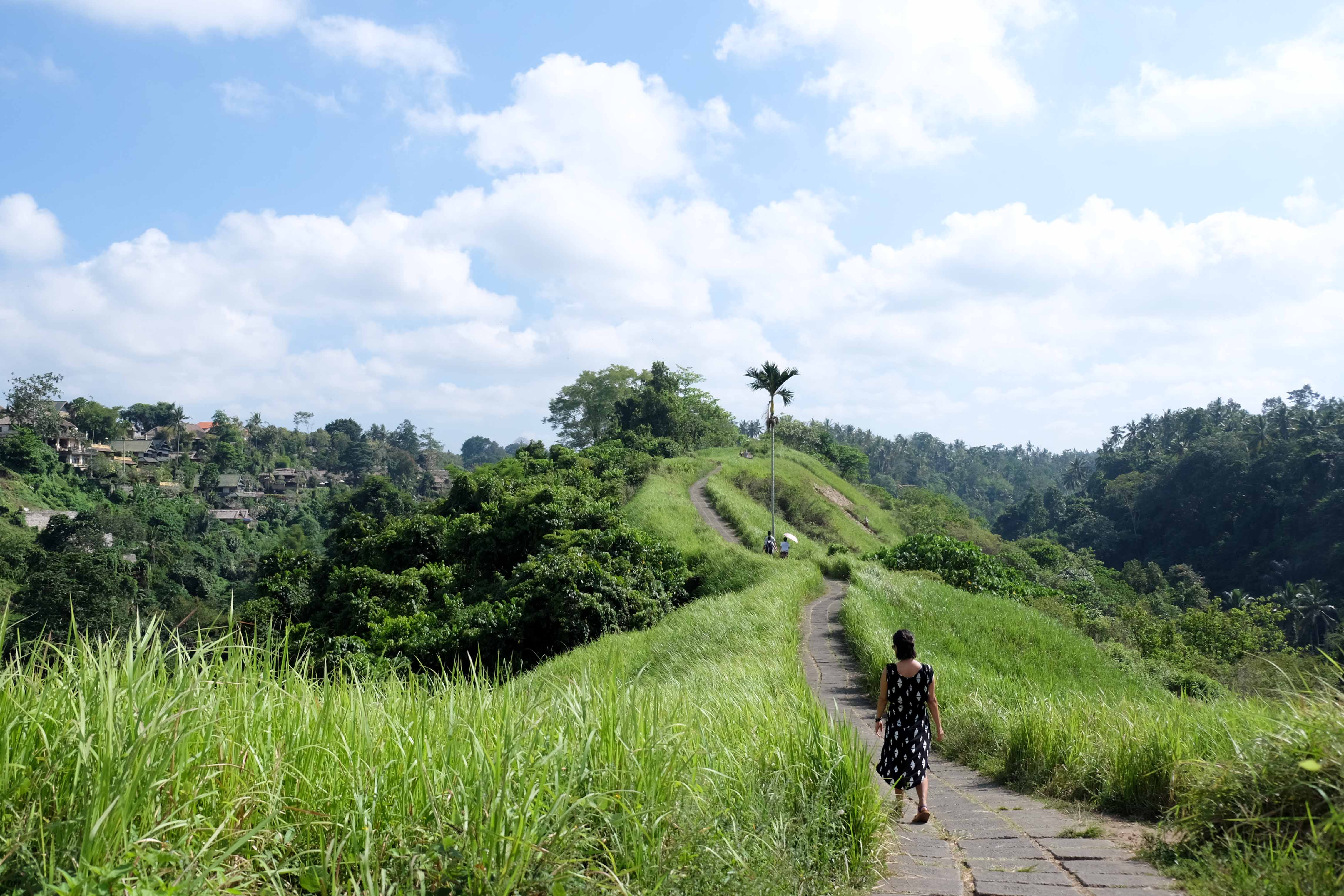 Let loose in Ubud,BALI INDONESIA