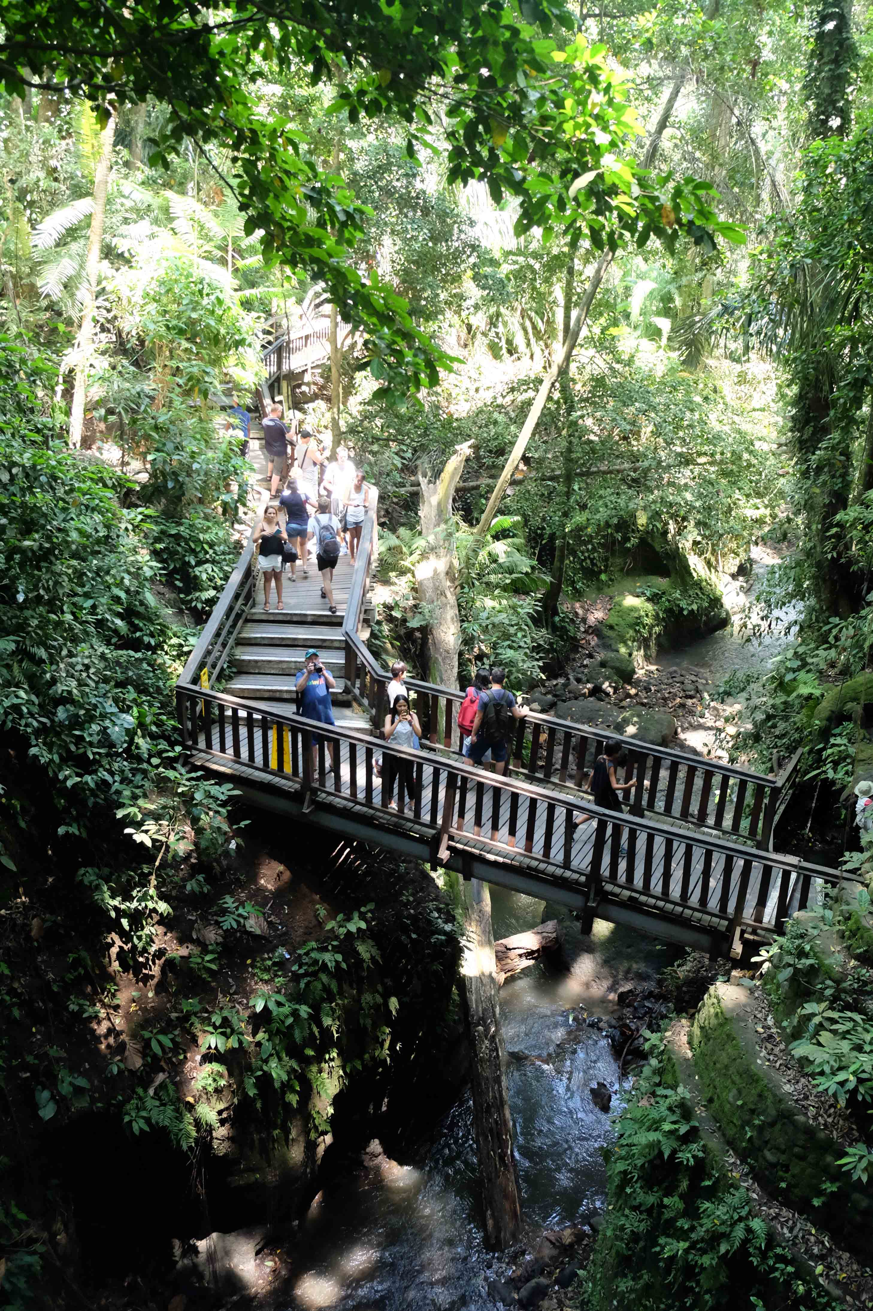 Let loose in Ubud,BALI INDONESIA