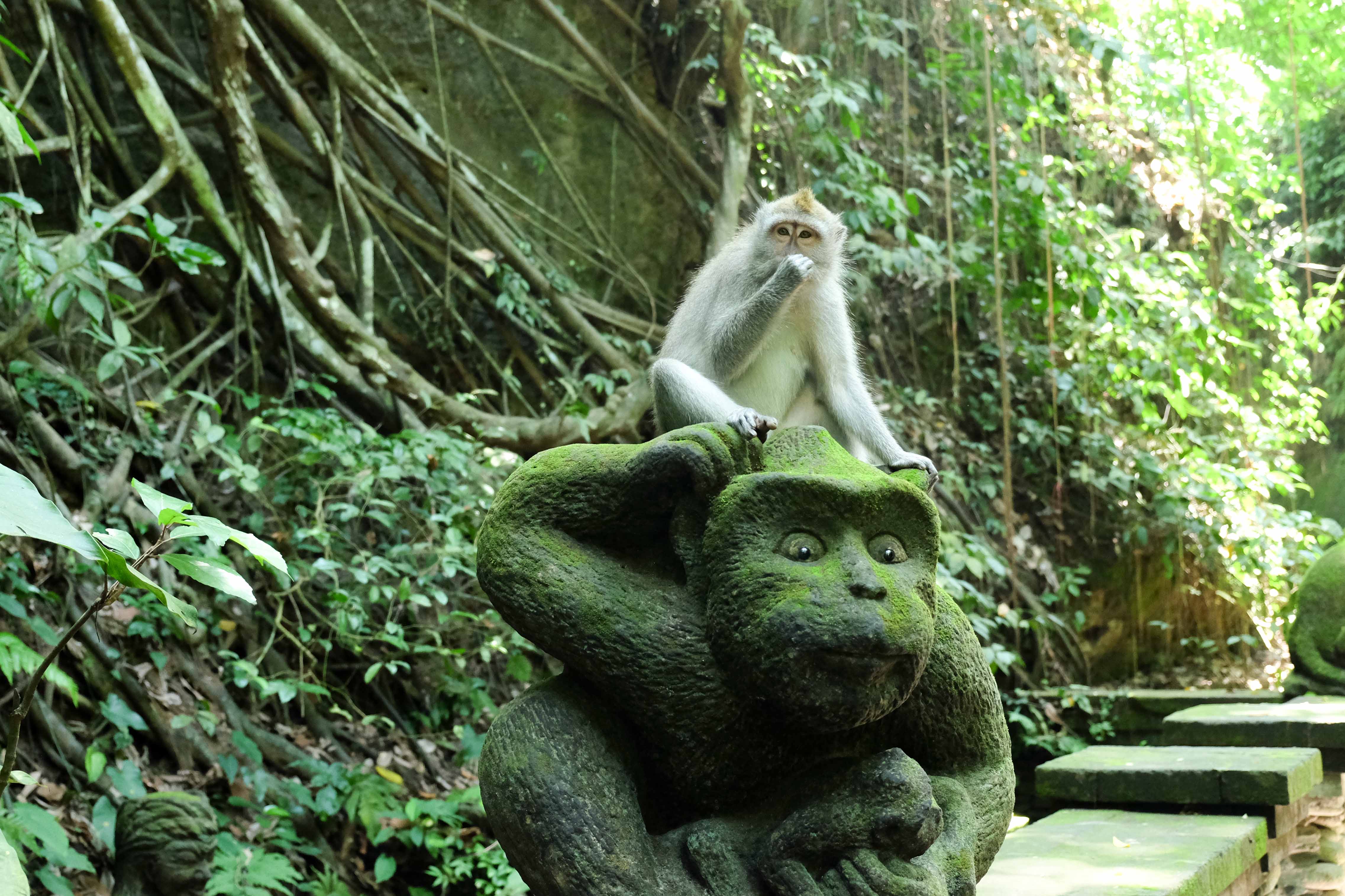 Let loose in Ubud,BALI INDONESIA