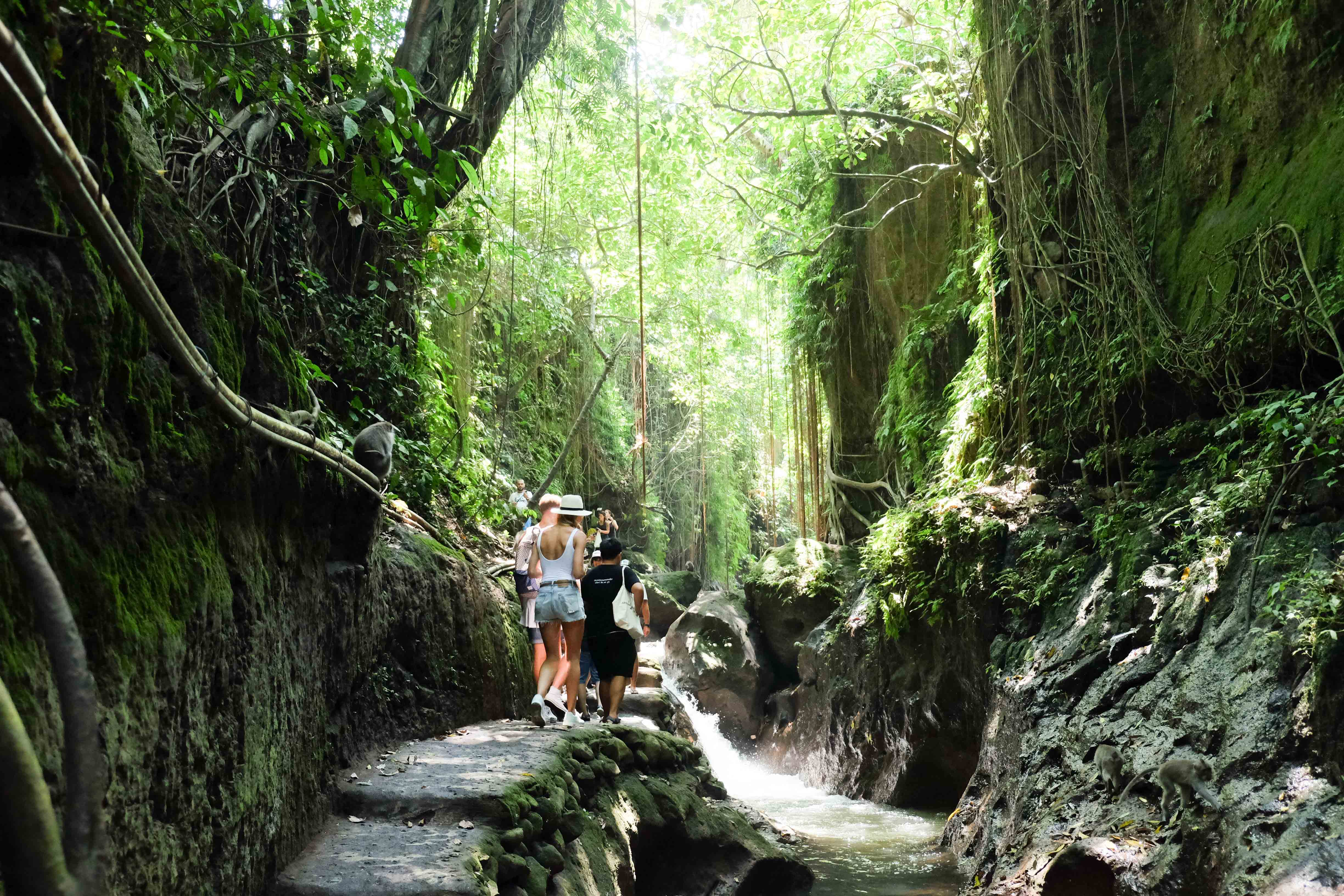 Let loose in Ubud,BALI INDONESIA