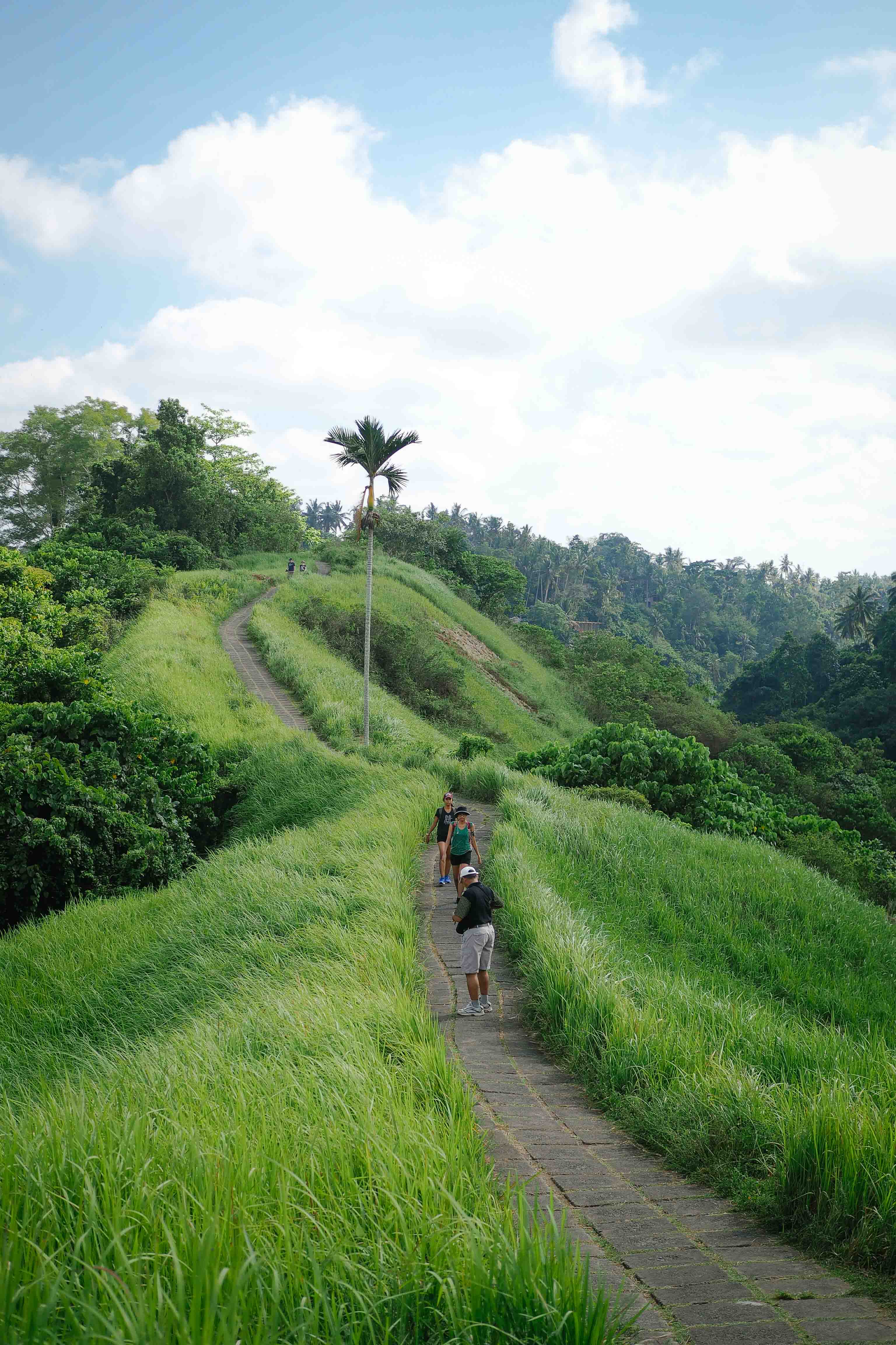 Let loose in Ubud,BALI INDONESIA