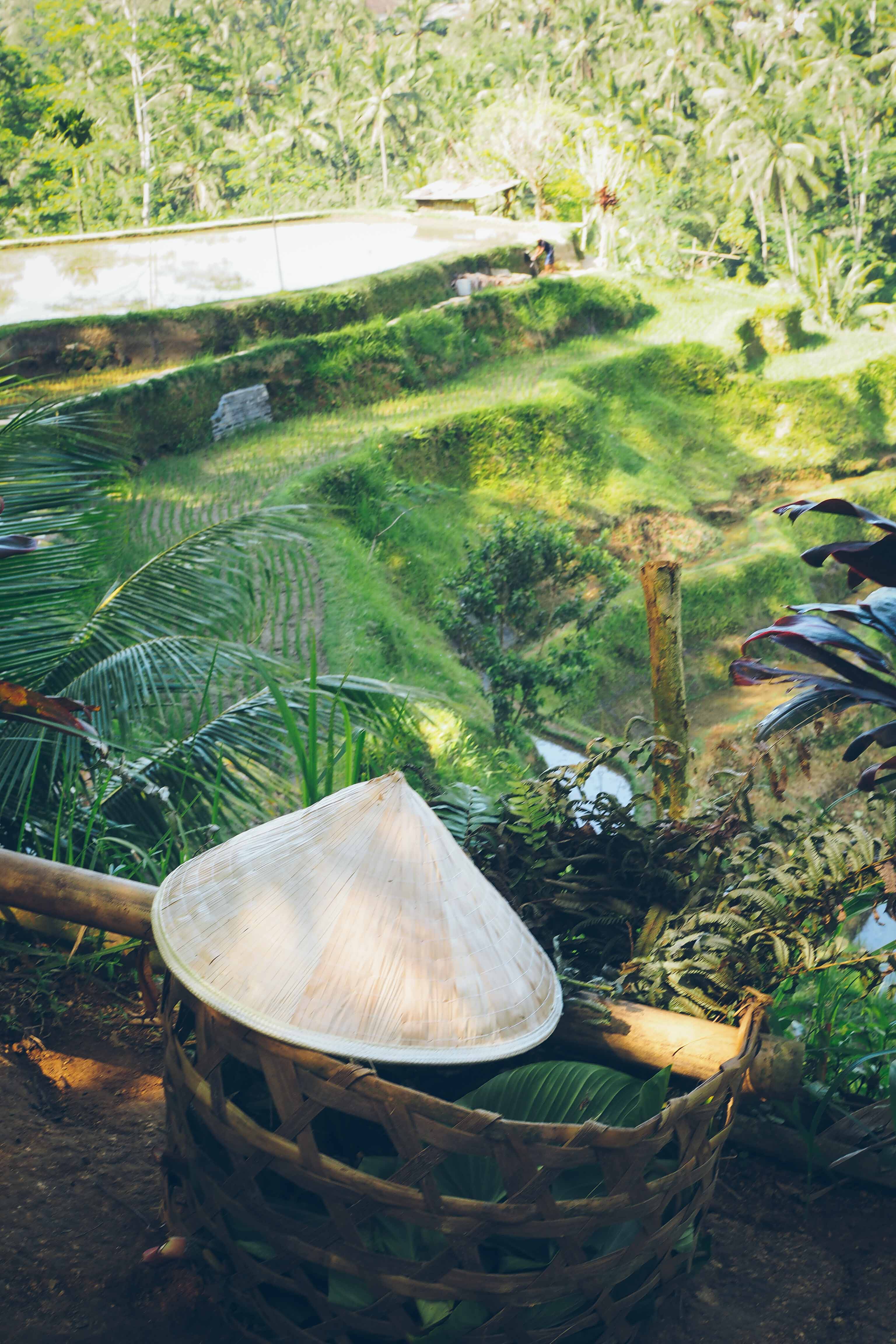 Let loose in Ubud,BALI INDONESIA