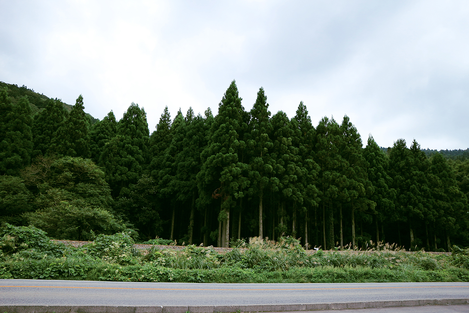 Enjoy TOHOKU, Sendai &#8211; Yamagata!