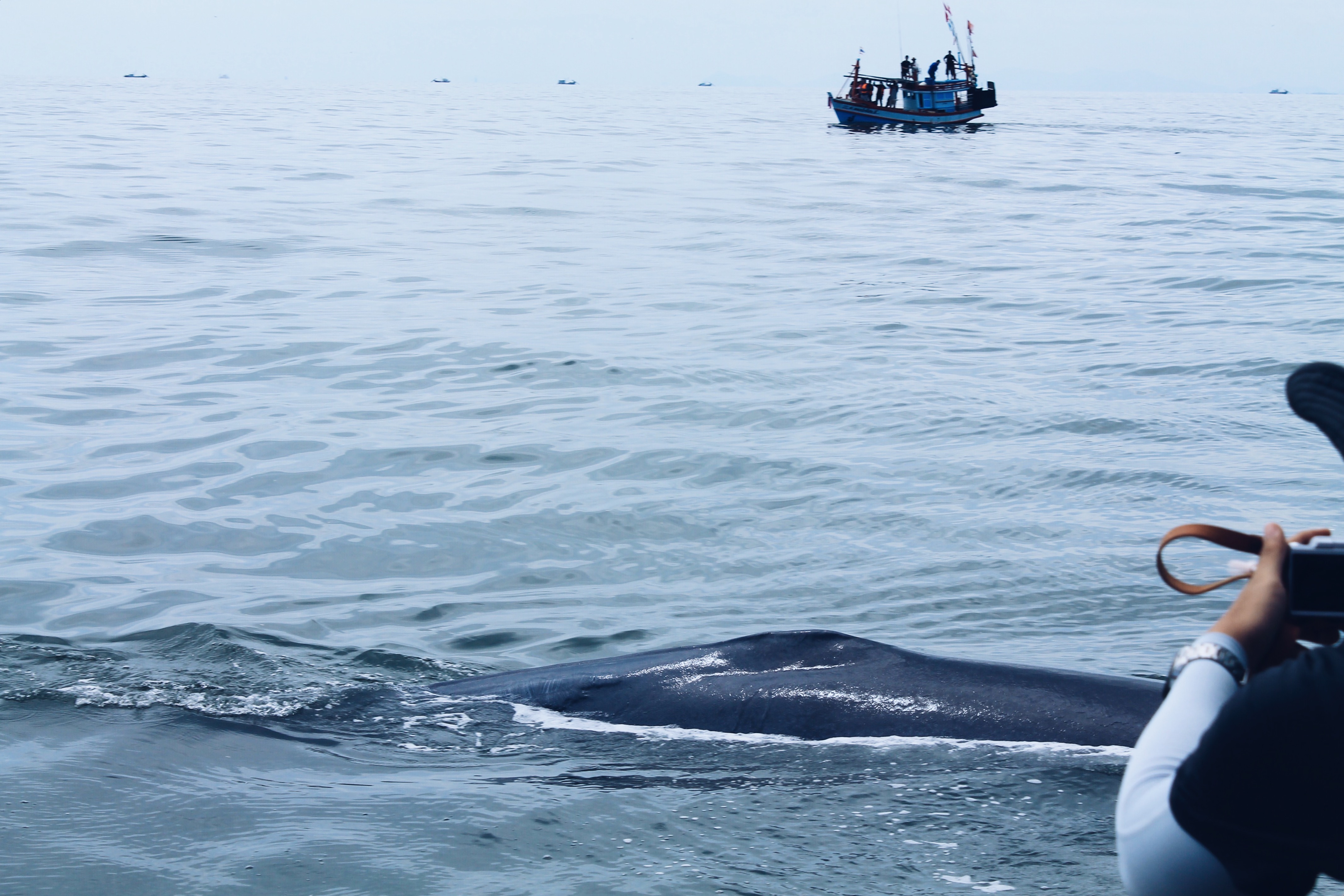 เที่ยวเพชรบุรีปลายปี กินหอย ดูปลาวาฬ ชมพระอาทิตย์ขึ้น สุดฟิน!