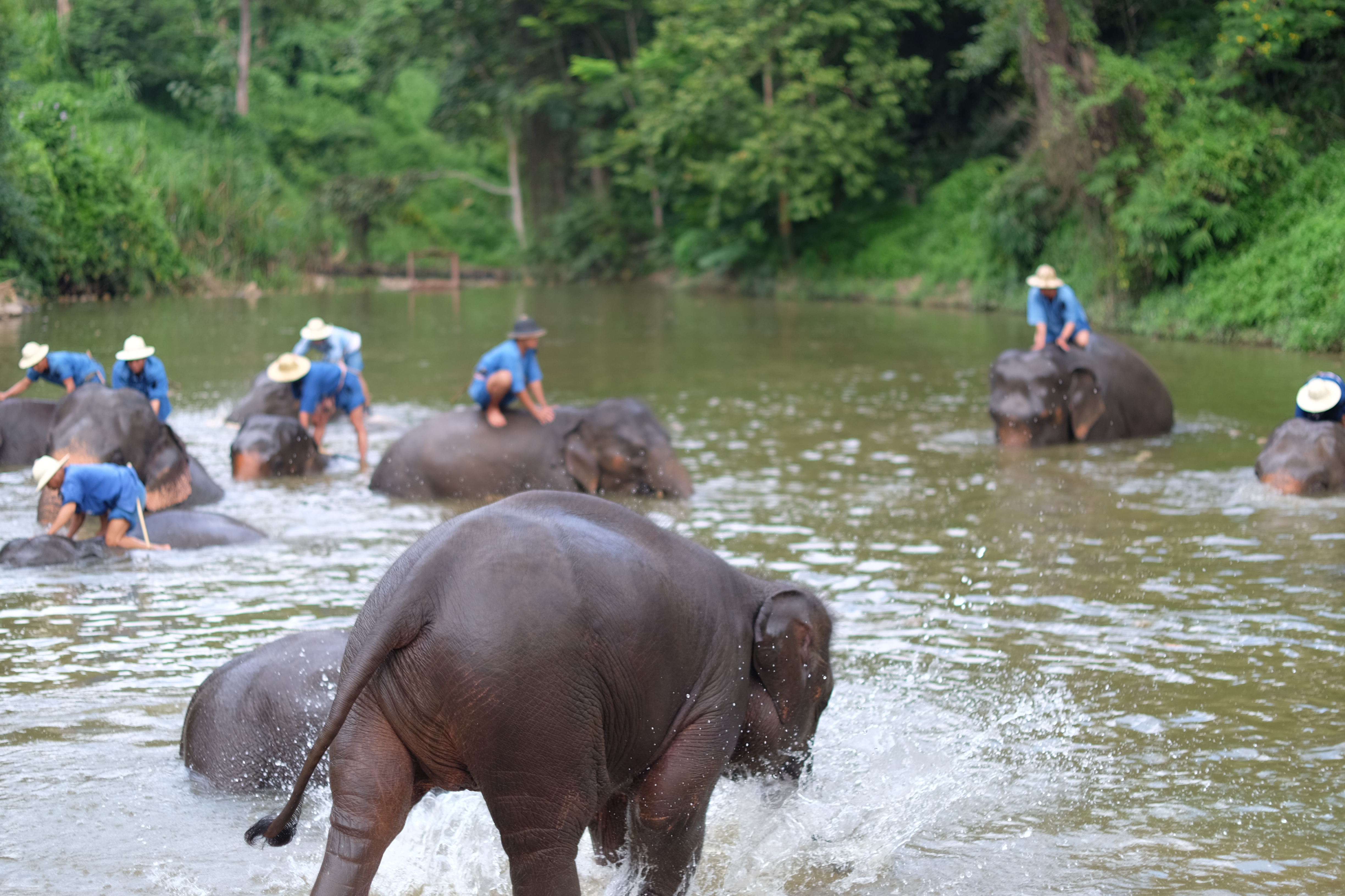 เที่ยวลำปาง พักผ่อนรับลมหนาวแบบไม่ซ้ำเพื่อนในเฟส