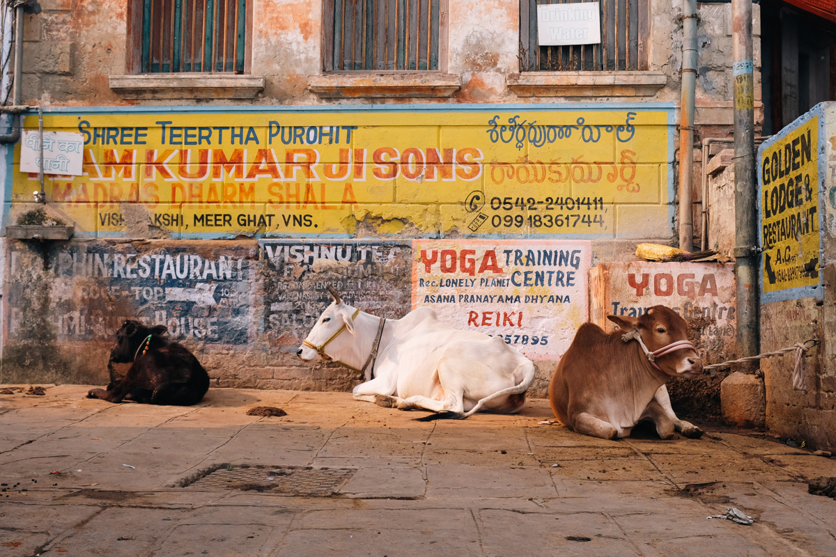 KOLKATA, The City of Joy