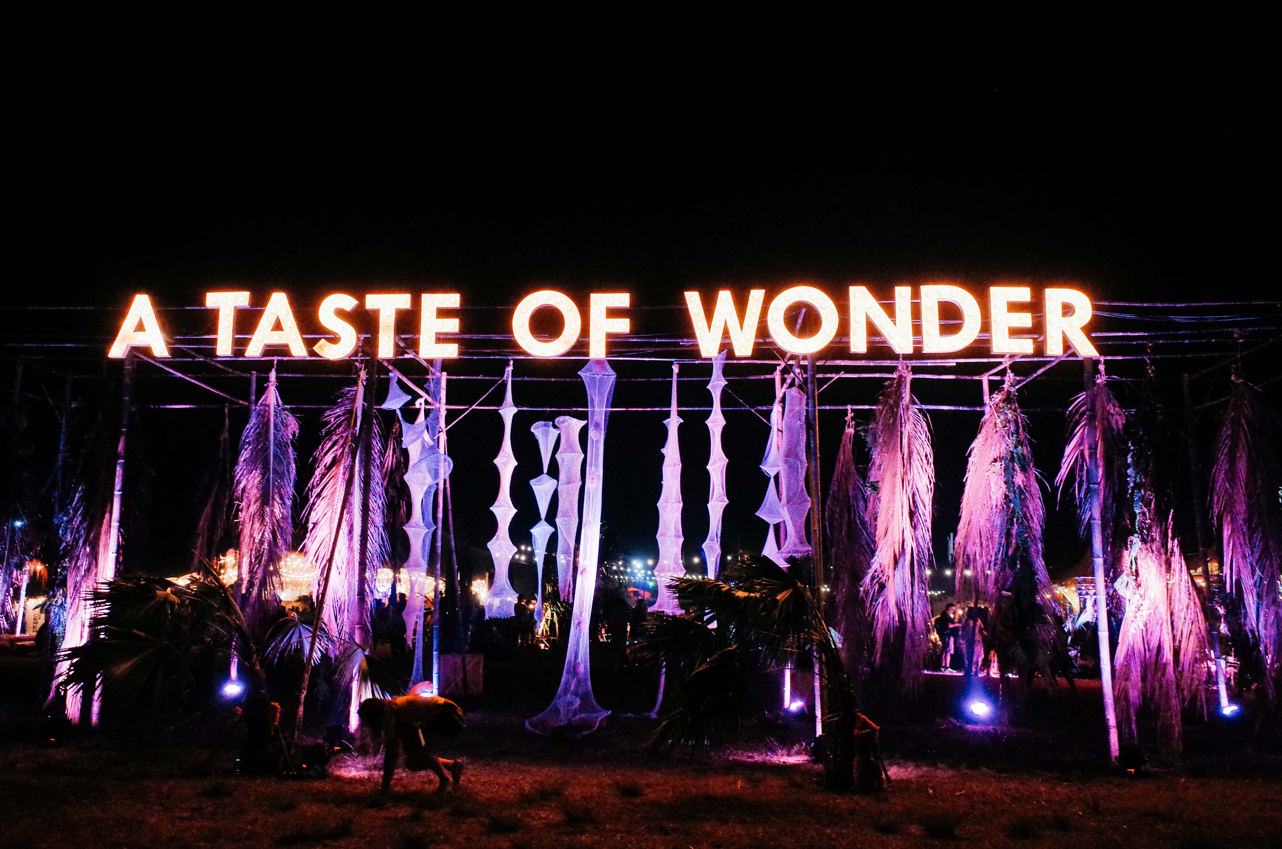 Wonderfruit Festival : ดนตรี ชีวิต ศิลปะ ความสนุกบนความยั่งยืน