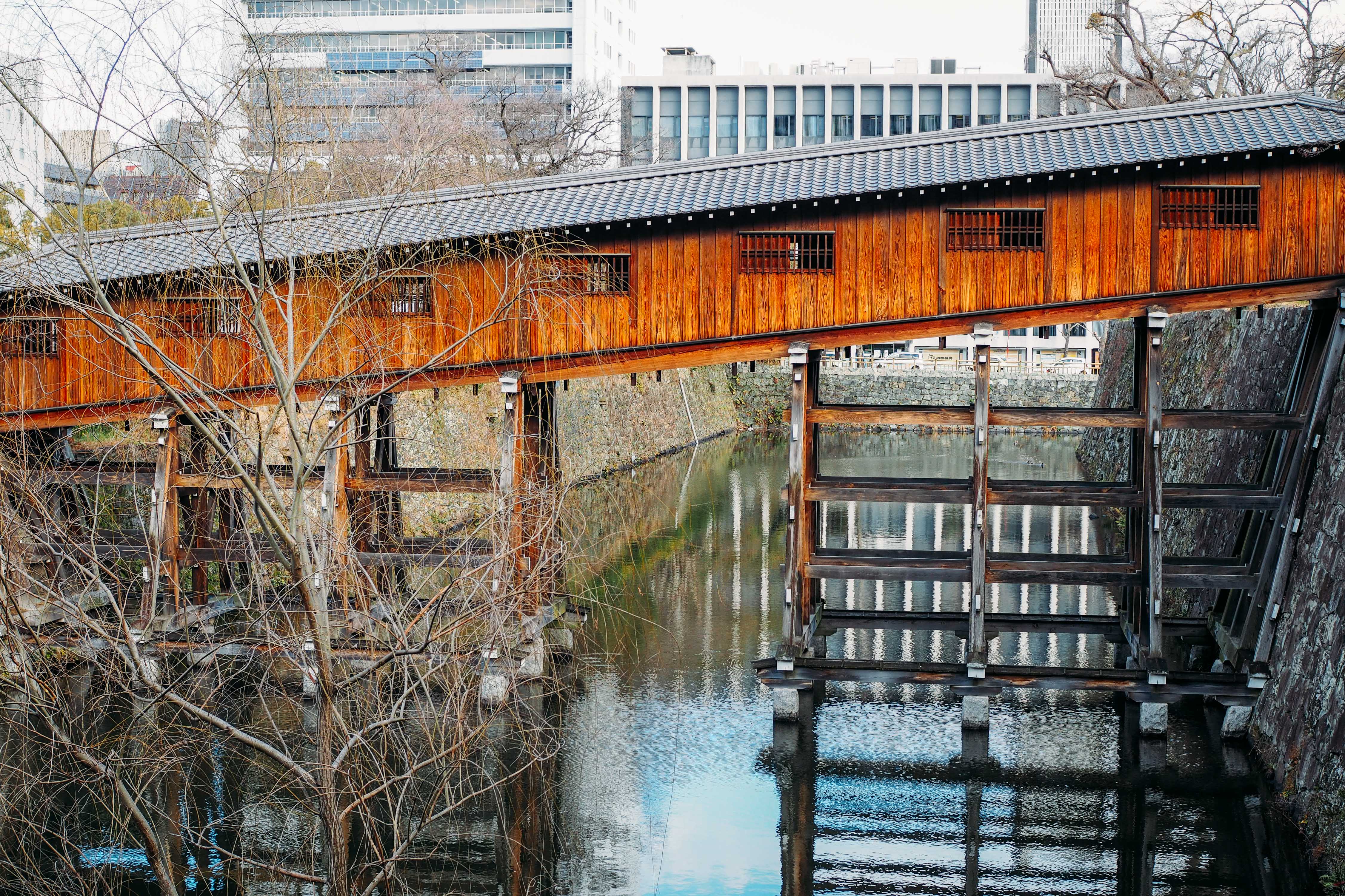 The moving windows, train ride through in central Japan.