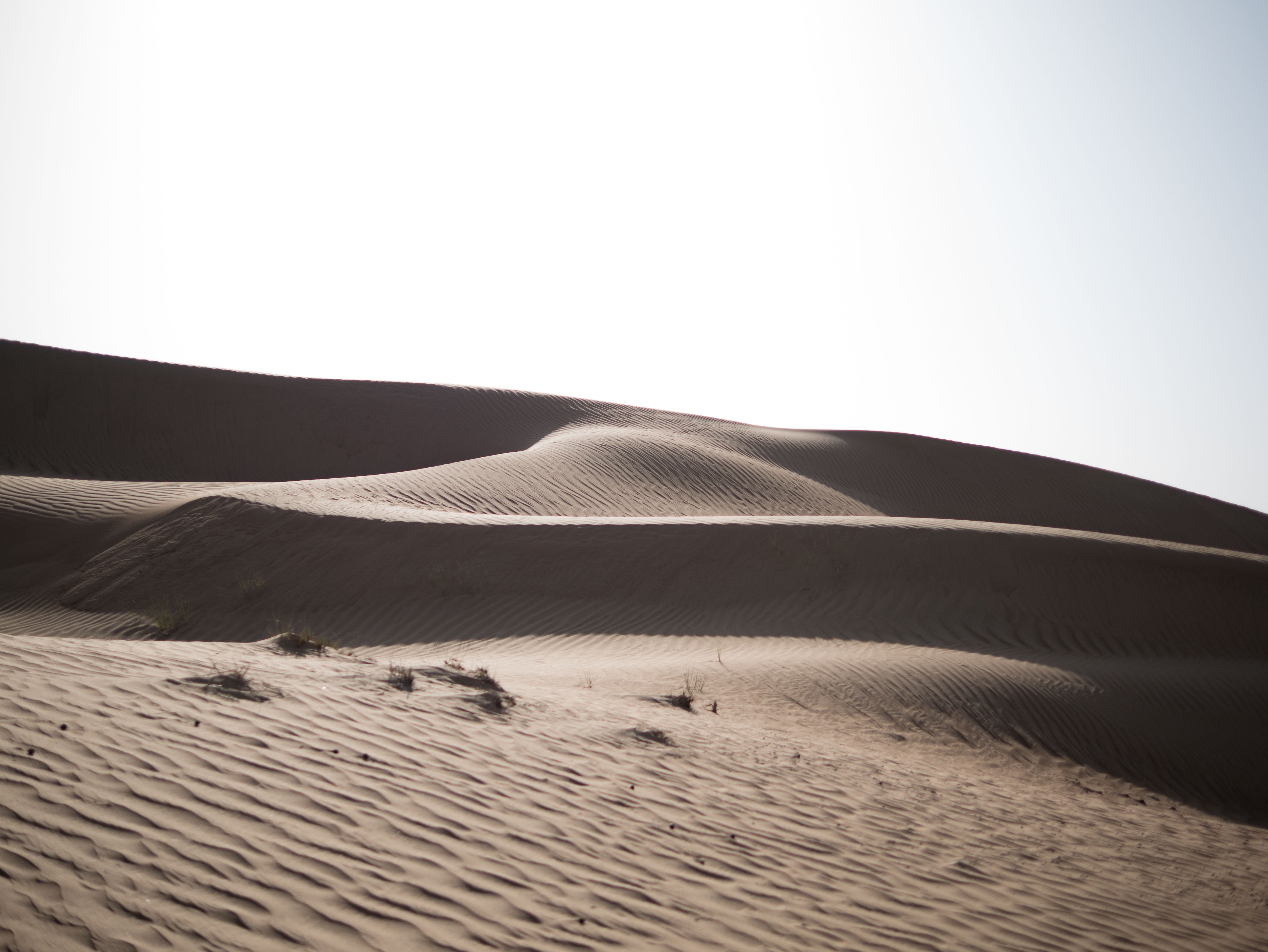 Fearless Adventure in OMAN!