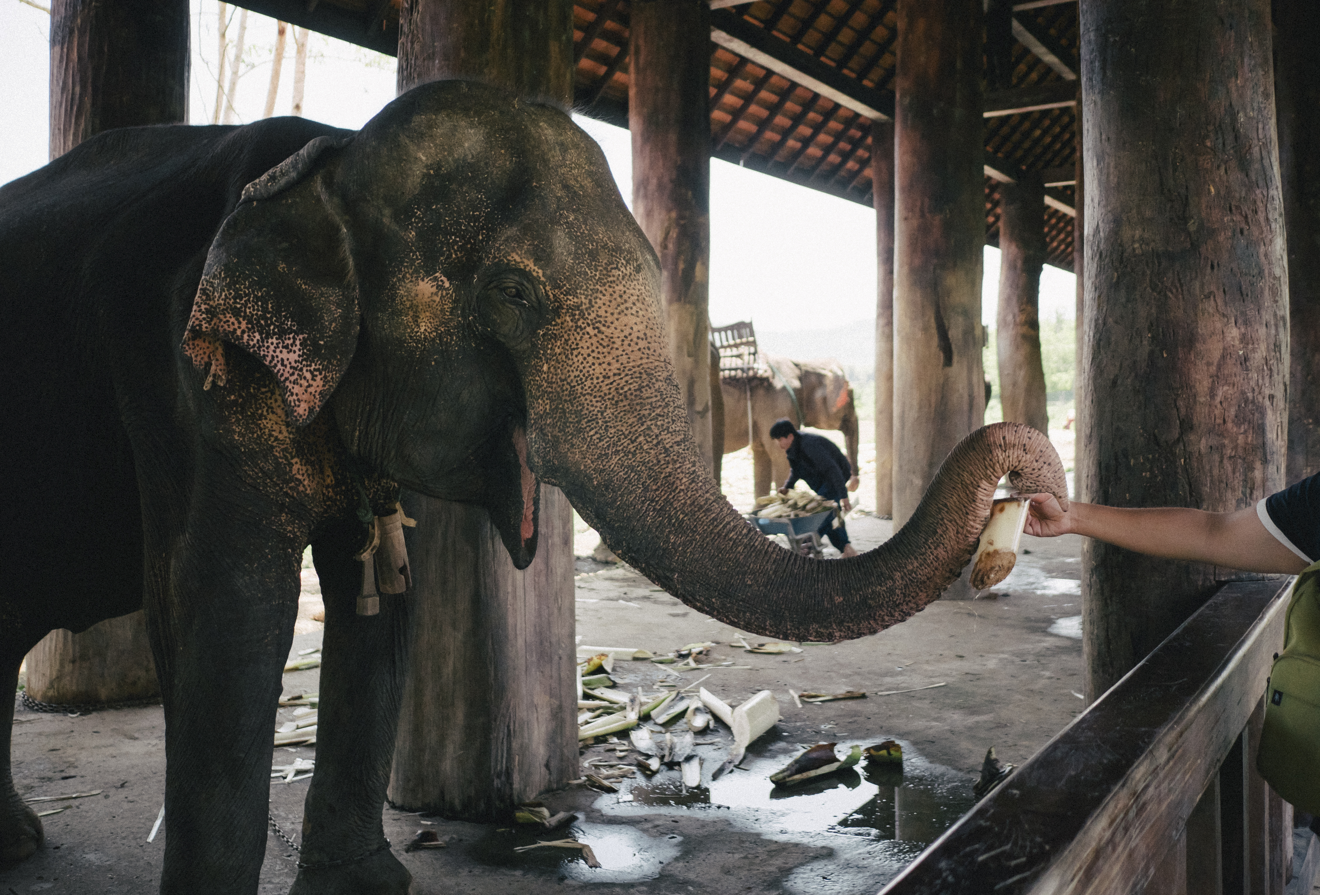 Power Saving Mode, Luang Prabang!