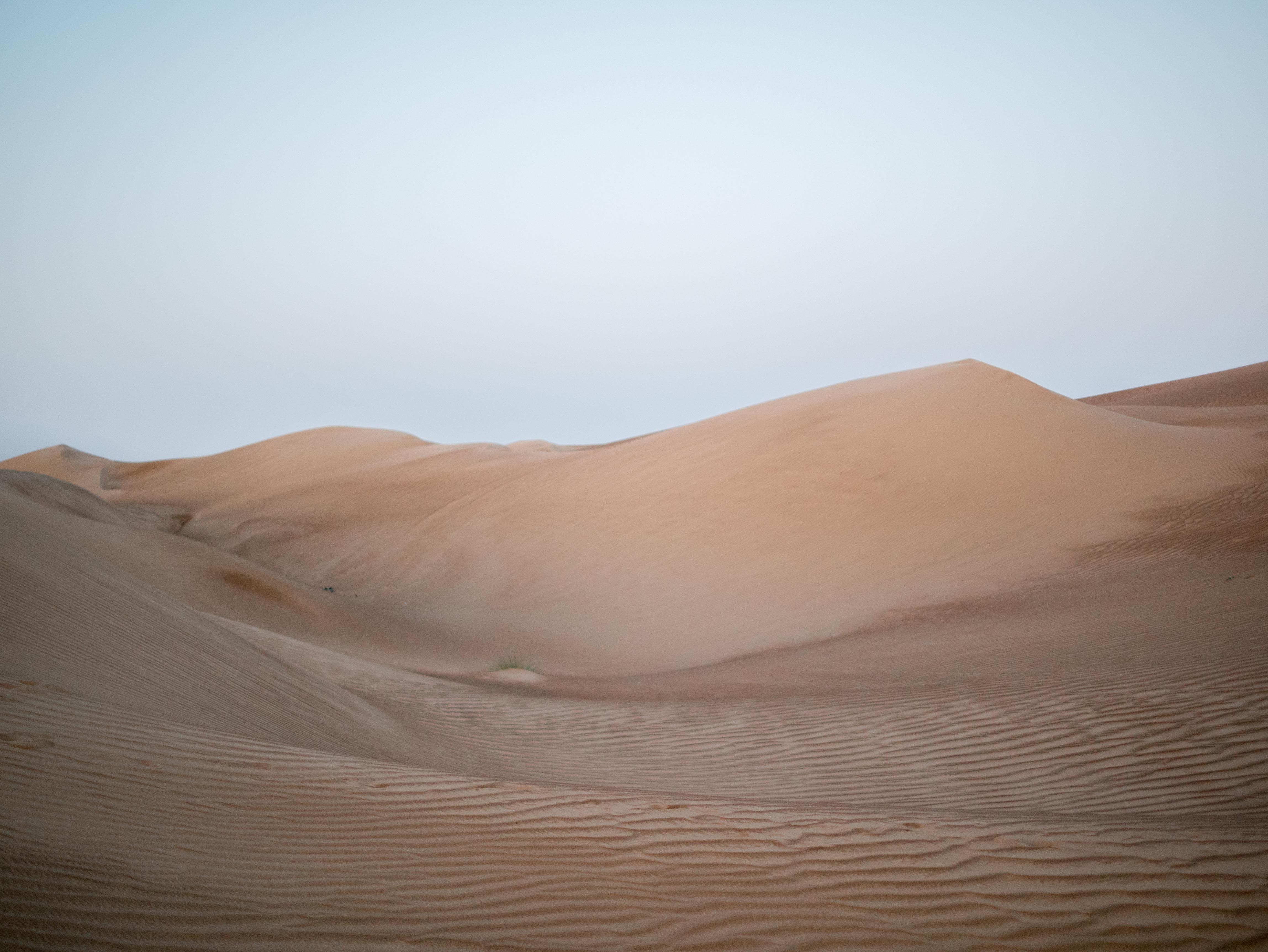 Fearless Adventure in OMAN!