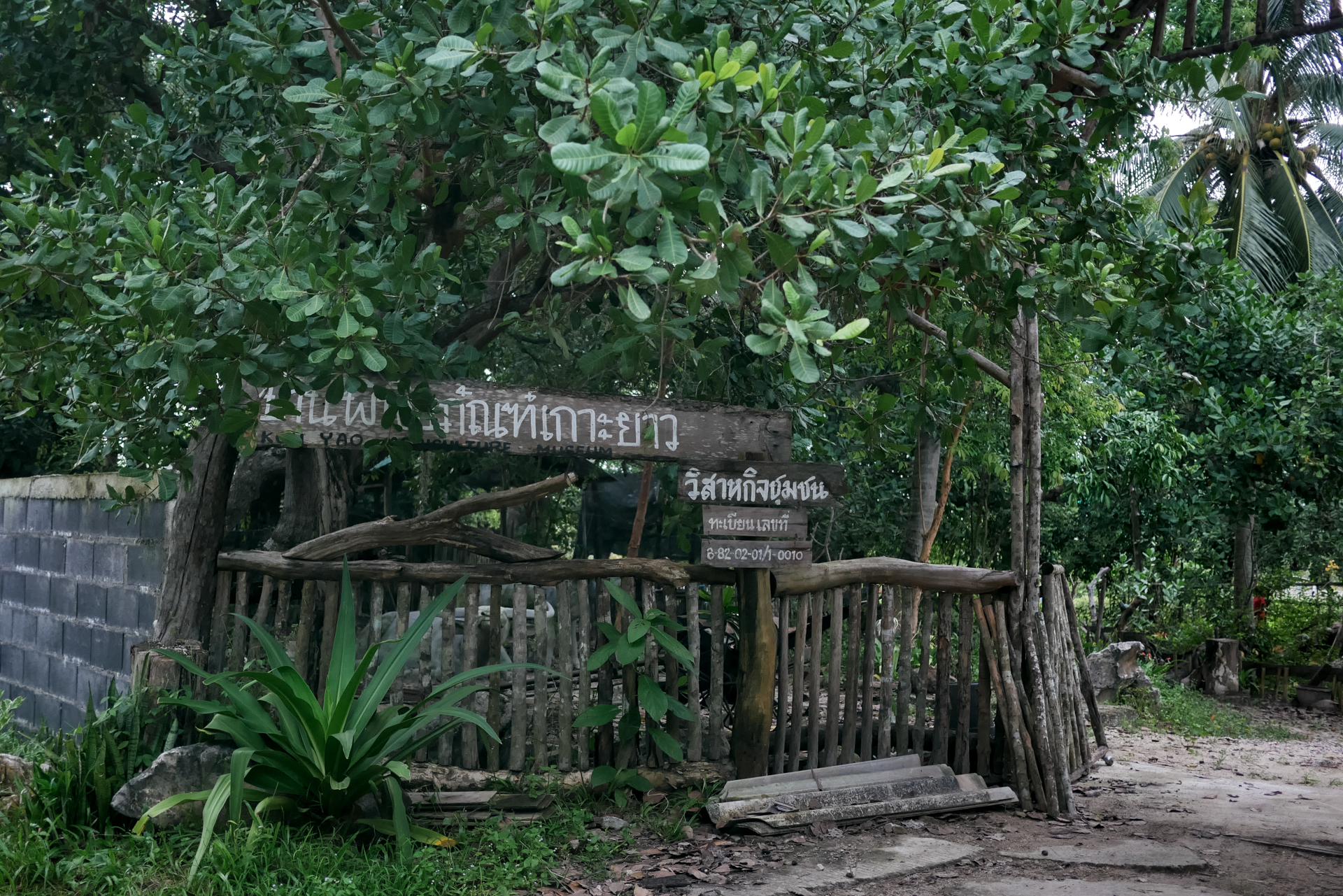 เกาะยาวน้อย ทริปใกล้ชิดธรรมชาติ สัมผัสวิถีชีวิตชุมชนชาวเกาะ