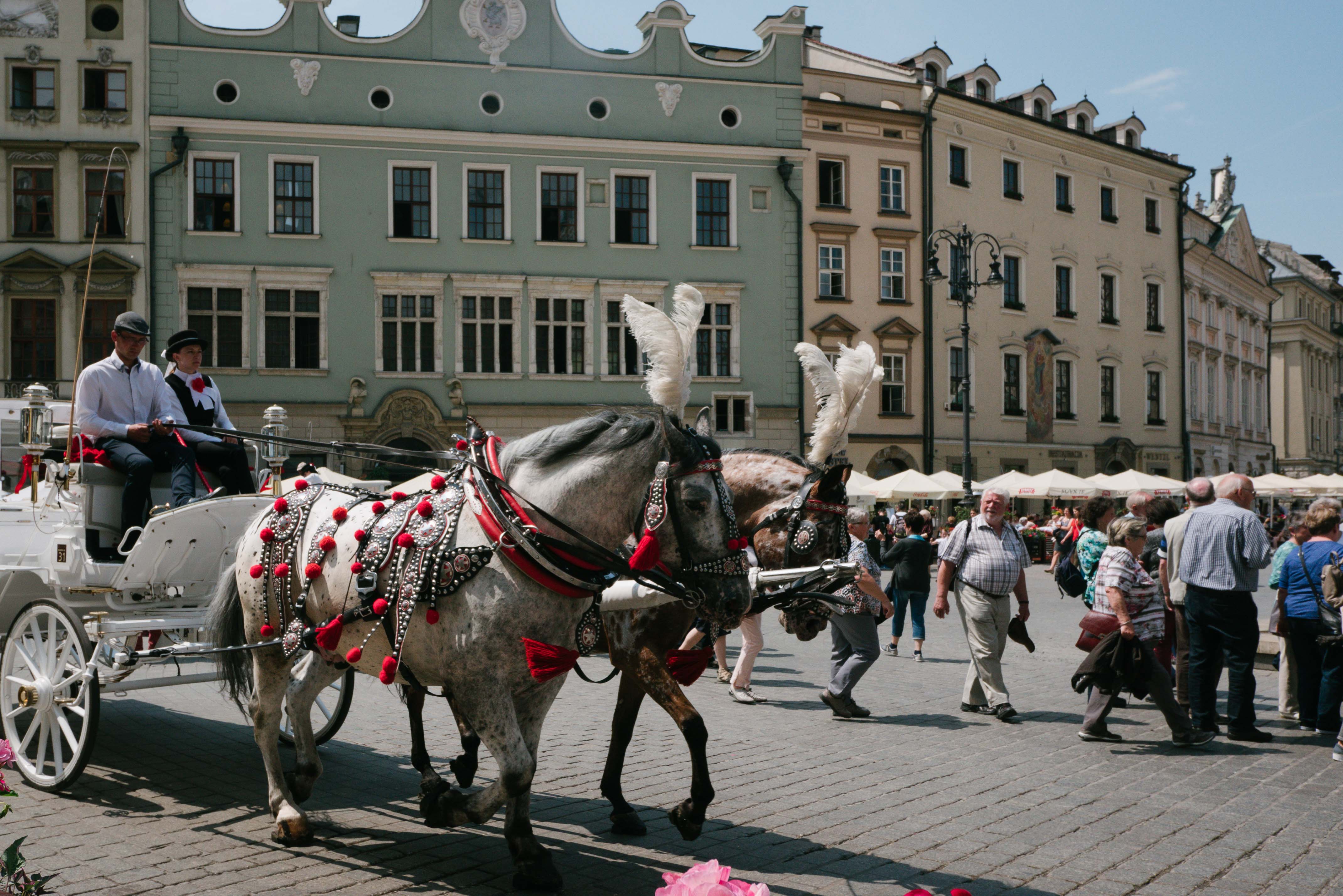 Summer Time in POLAND l 9 วันกับโปแลนด์ในฤดูร้อนที่มีชีวิต!