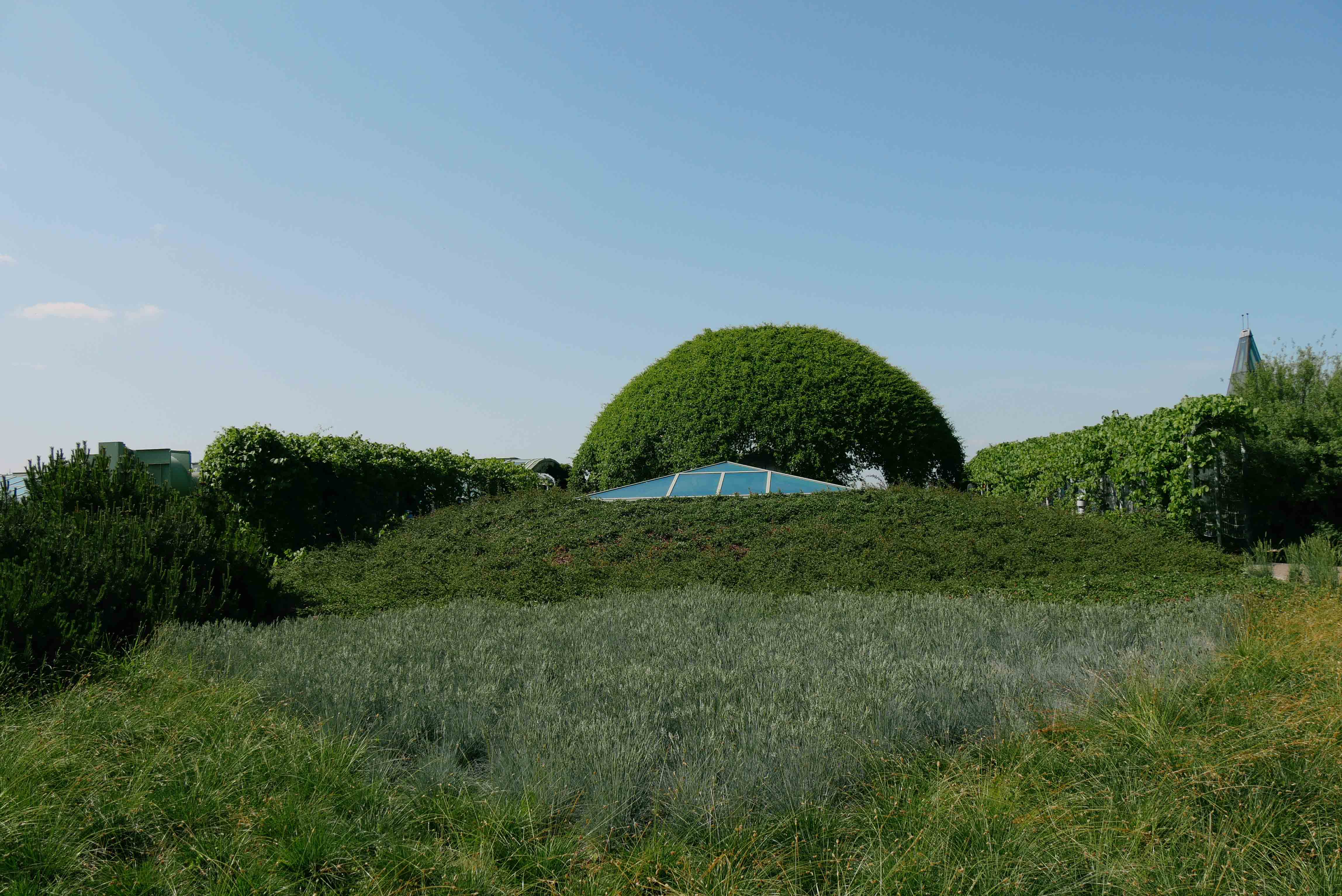 Summer Time in POLAND l 9 วันกับโปแลนด์ในฤดูร้อนที่มีชีวิต!