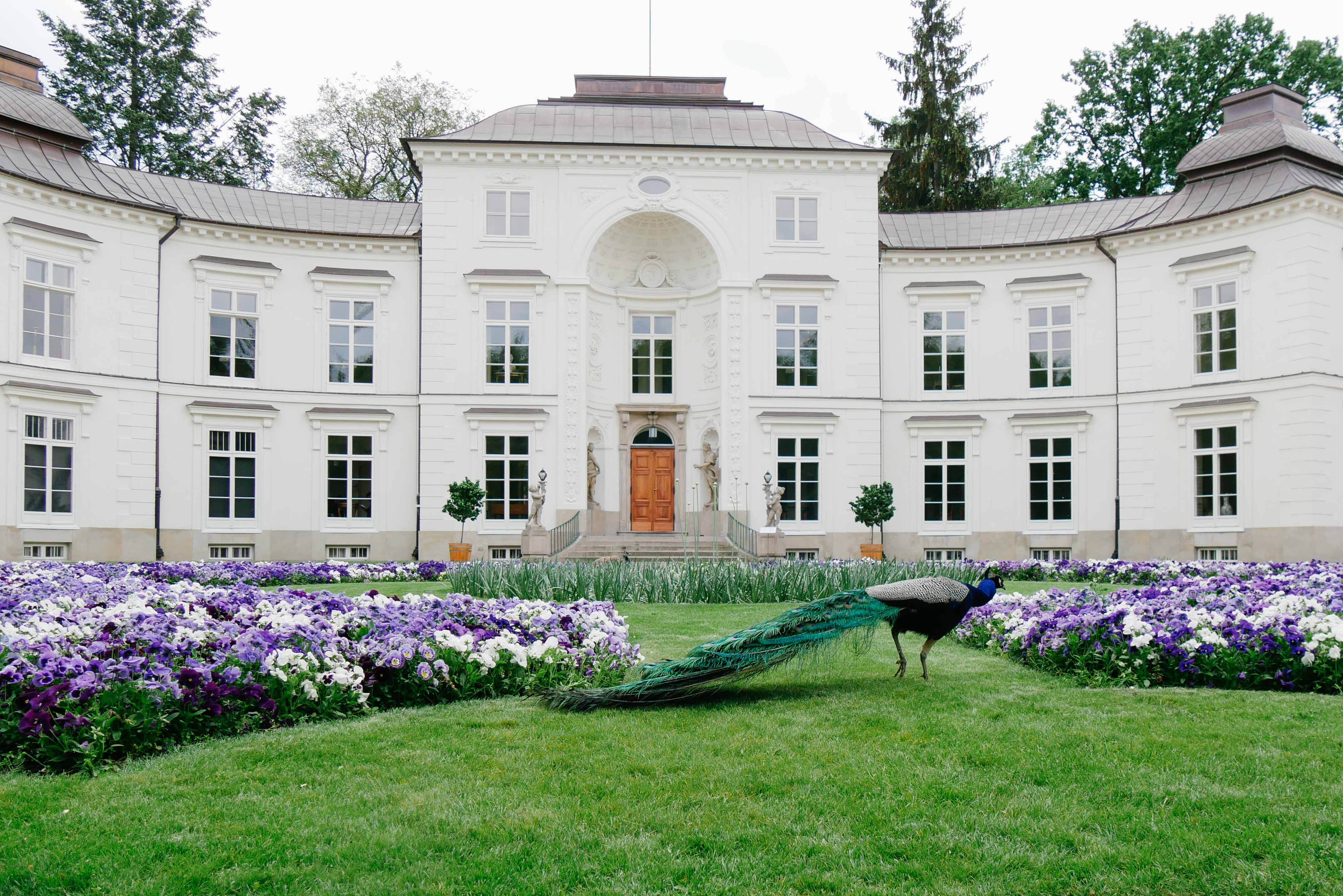 Summer Time in POLAND l 9 วันกับโปแลนด์ในฤดูร้อนที่มีชีวิต!