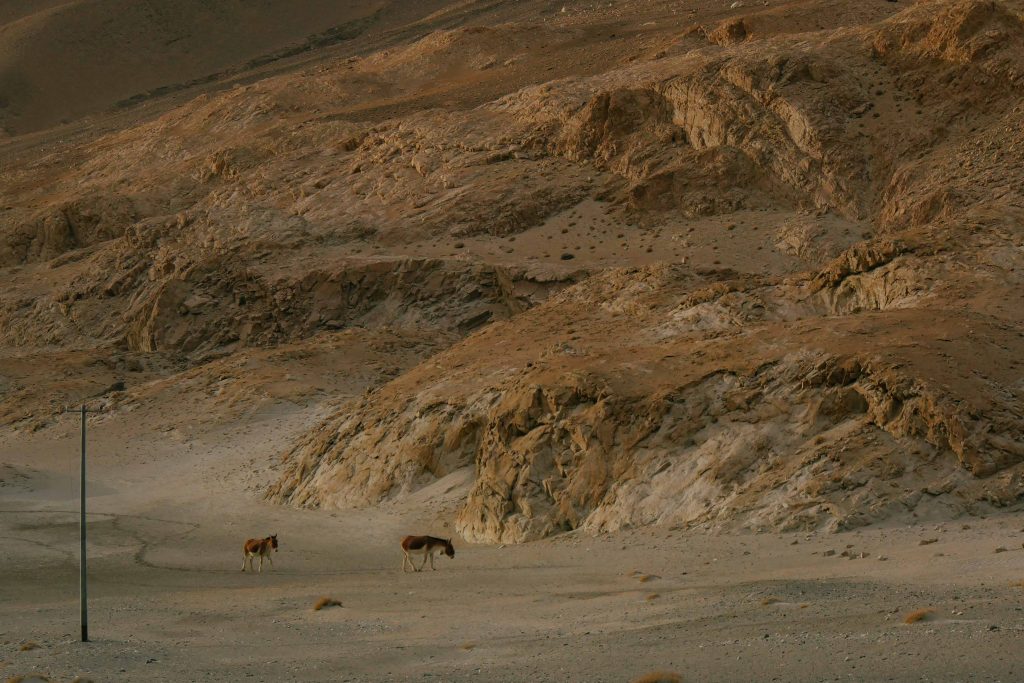 Julley! Here we are Leh Ladakh