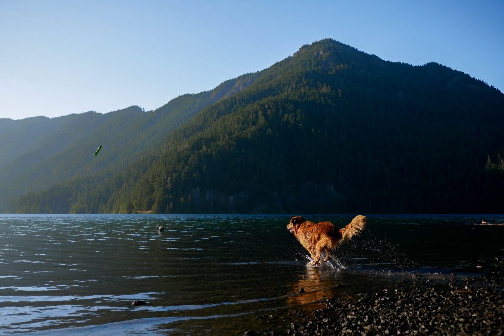 Northwest National Park, USA 2017