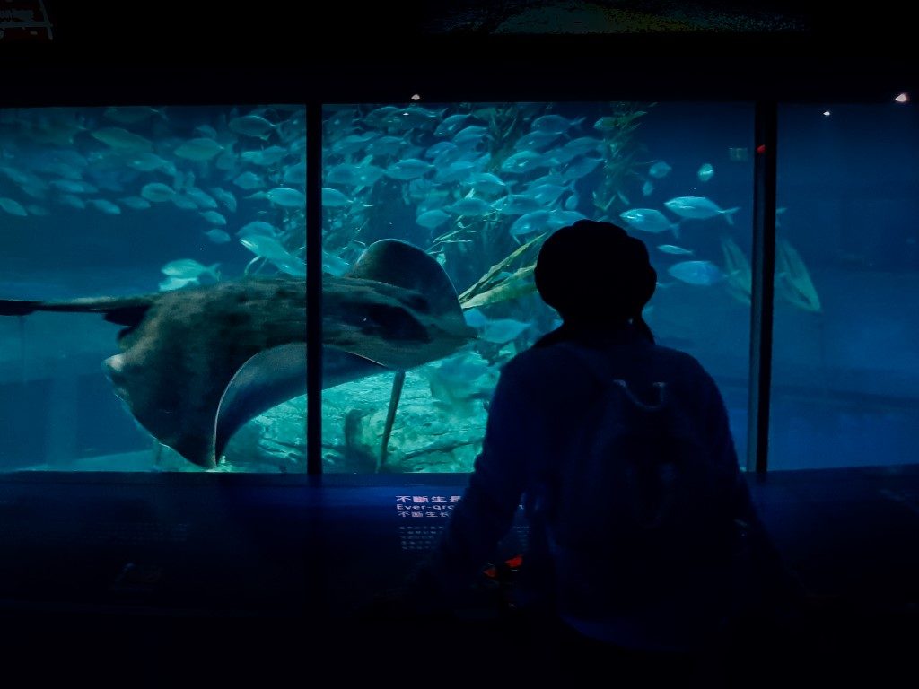 Adventure in Ocean Park,Hong Kong!