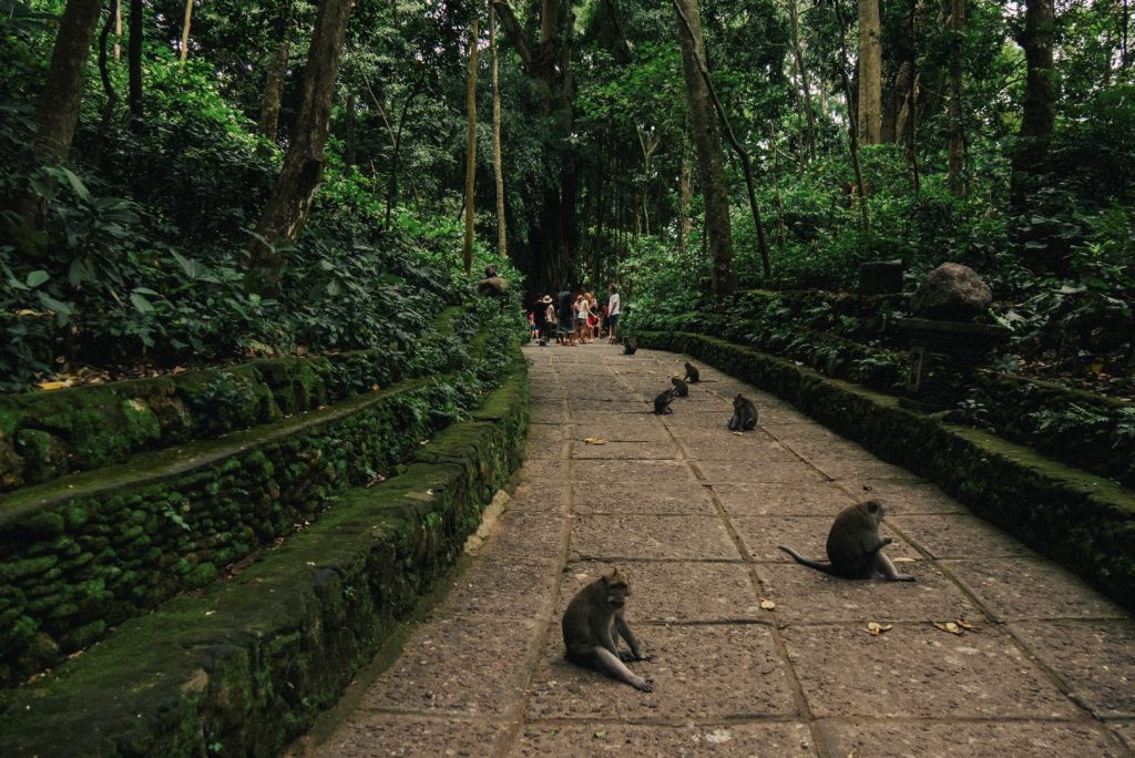 RUN EAT FUN in BALI,Indonesia