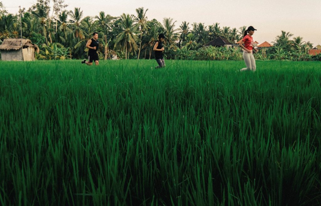 RUN EAT FUN in BALI,Indonesia