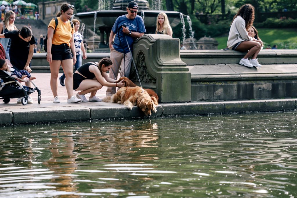 Parks of New York City.