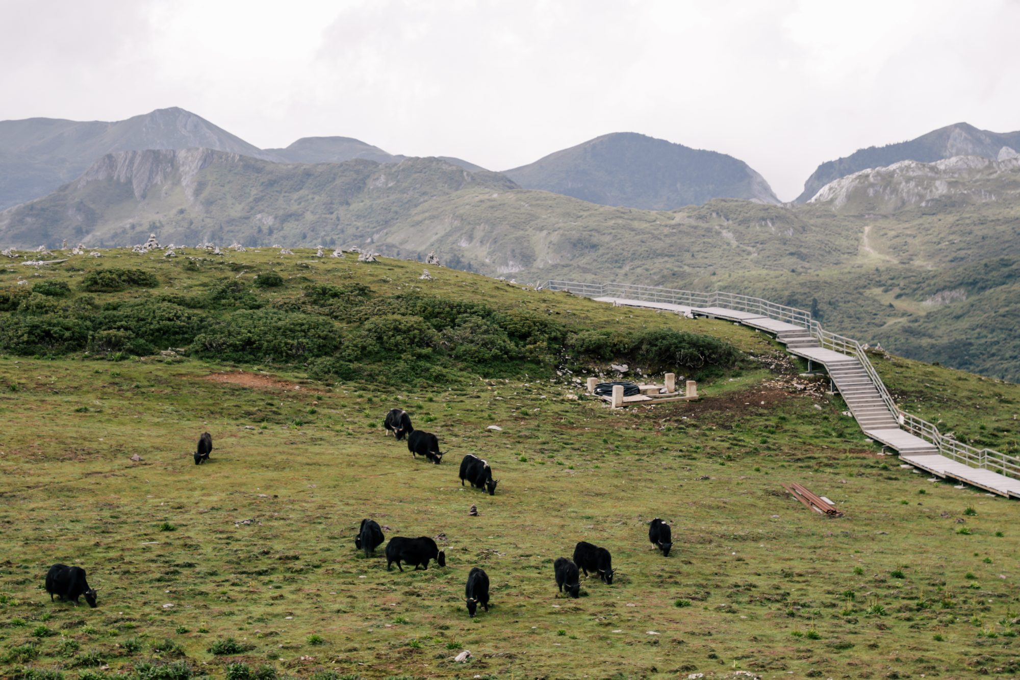 China Like Never Before, KUNMING-LIJIANG-SHANGRI LA