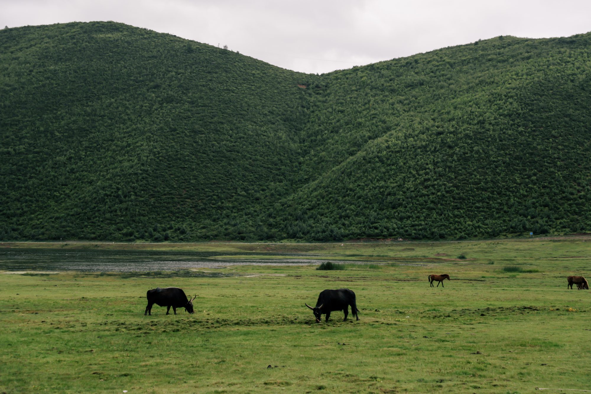 China Like Never Before, KUNMING-LIJIANG-SHANGRI LA